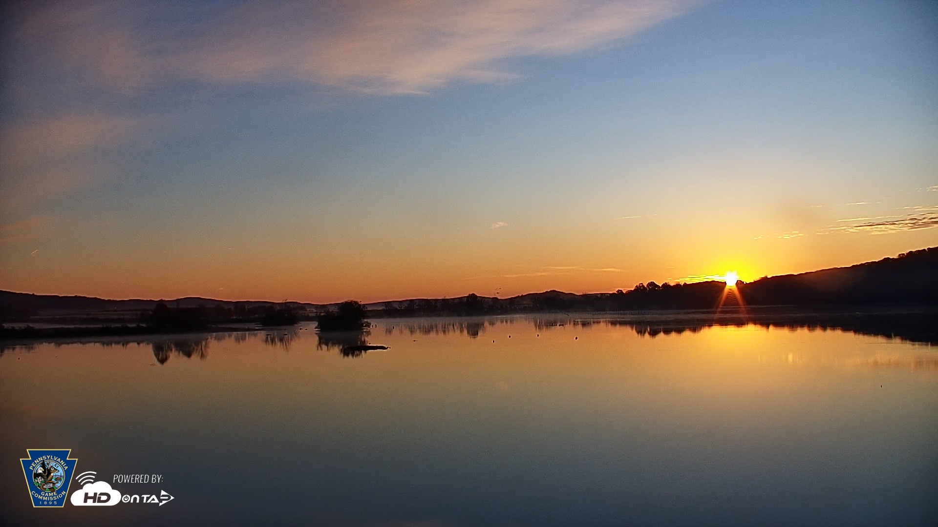 Snapshot of Pennsylvania Snow Geese Live Webcam taken Nov 2, 2025, 6:44am EST