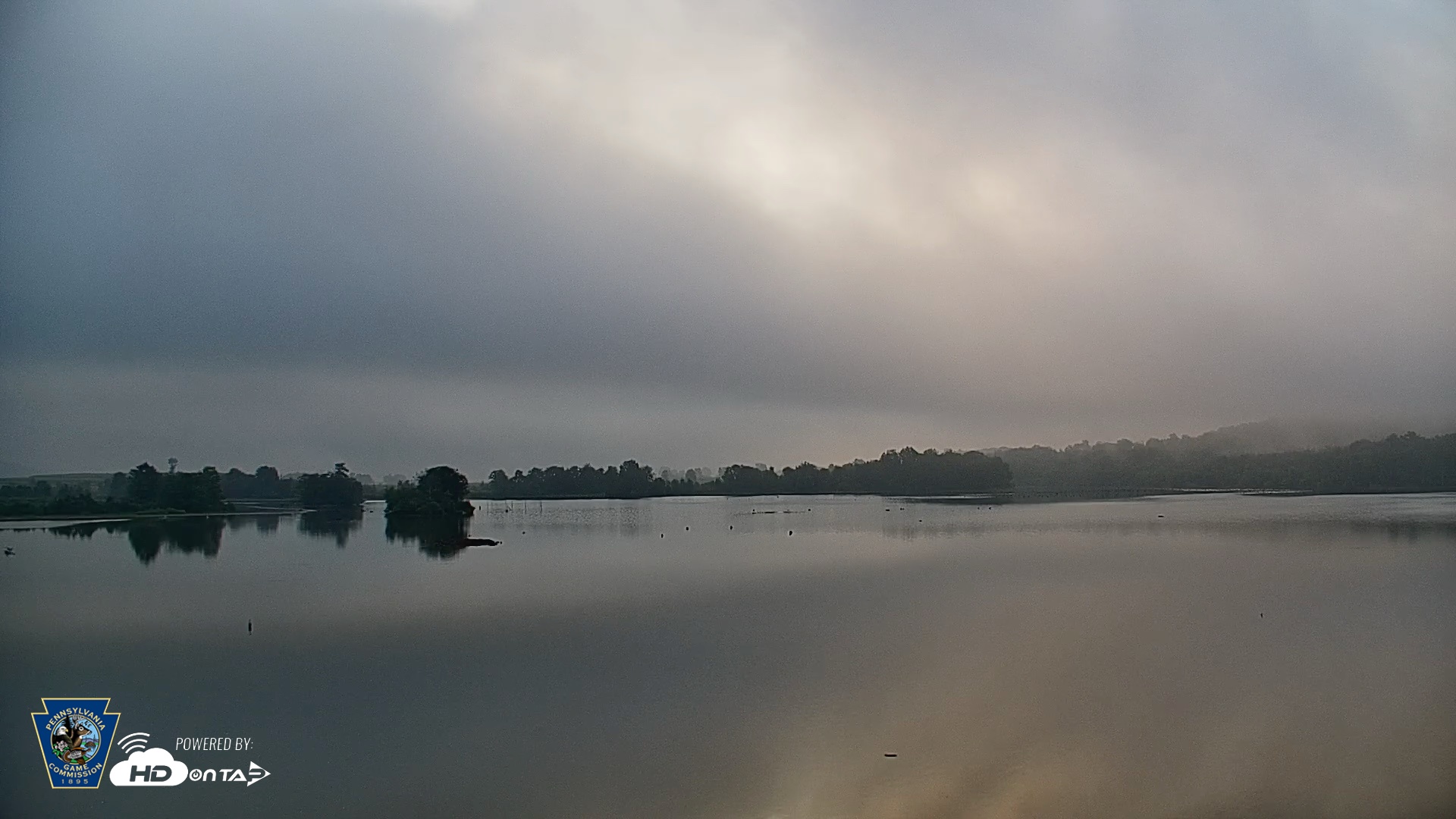 Snapshot of Pennsylvania Snow Geese Live Webcam taken Aug 6, 2026, 6:55am EDT