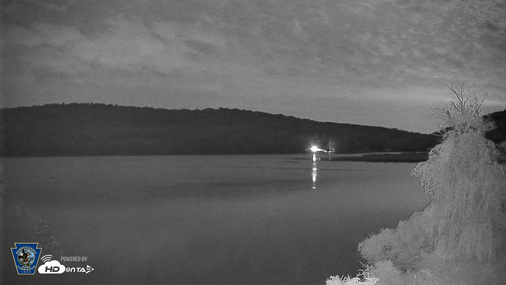 Snapshot of Pennsylvania Snow Geese Live Webcam taken Jul 22, 2026, 9:54pm EDT
