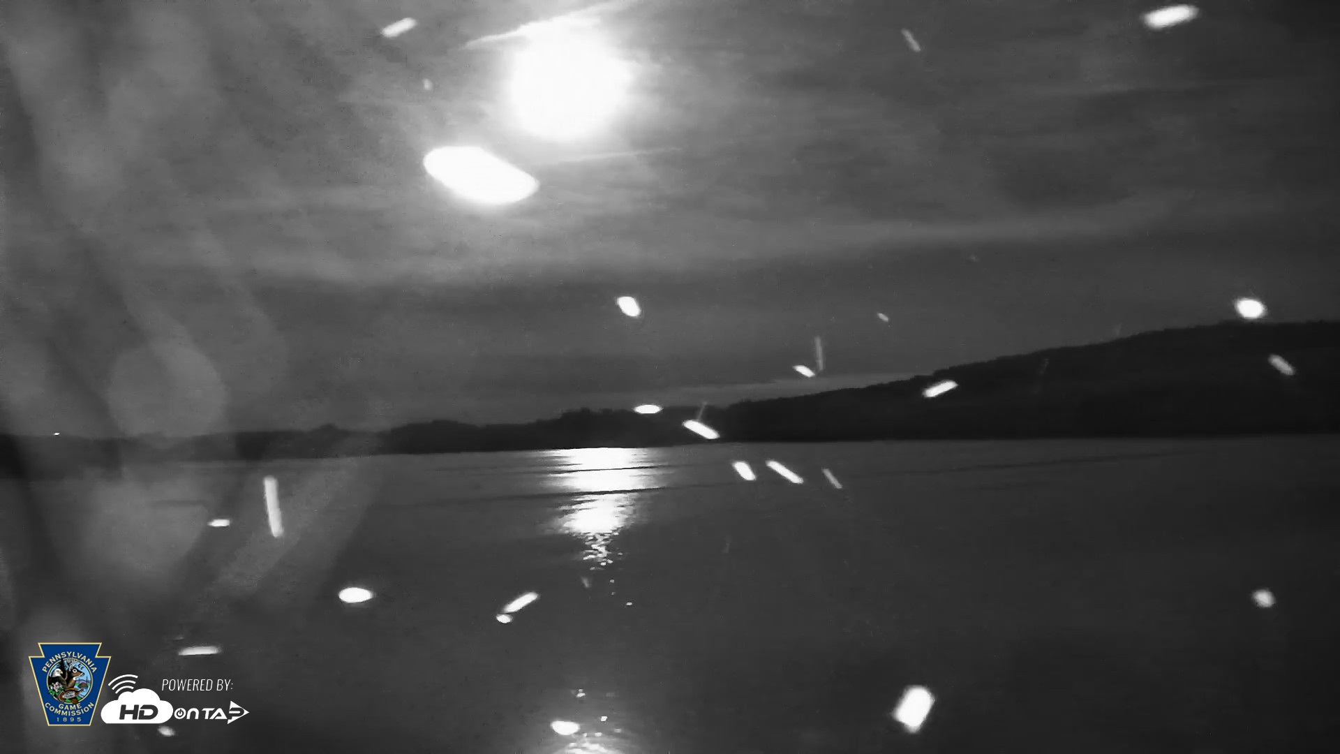 Snapshot of Pennsylvania Snow Geese Live Webcam taken Sep 25, 2026, 7:47pm EDT