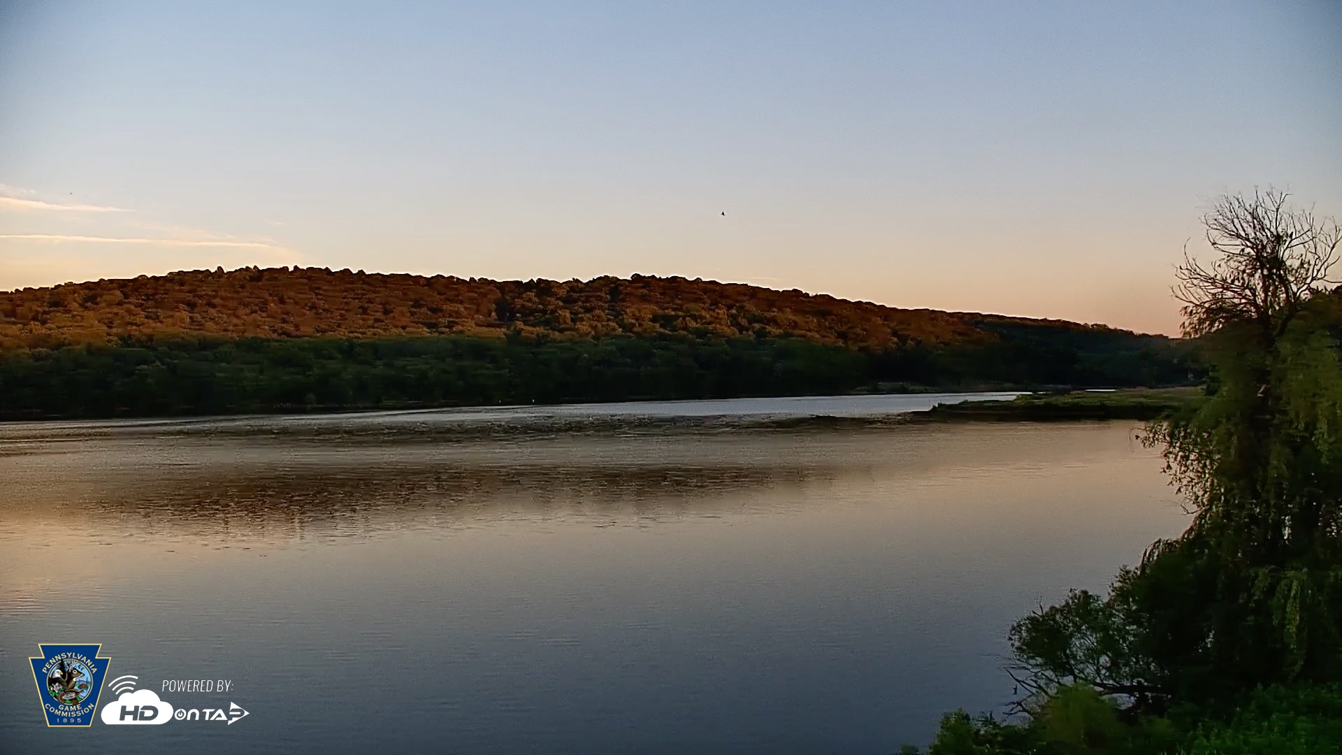 Snapshot of Pennsylvania Snow Geese Live Webcam taken Jun 23, 2026, 8:23pm EDT
