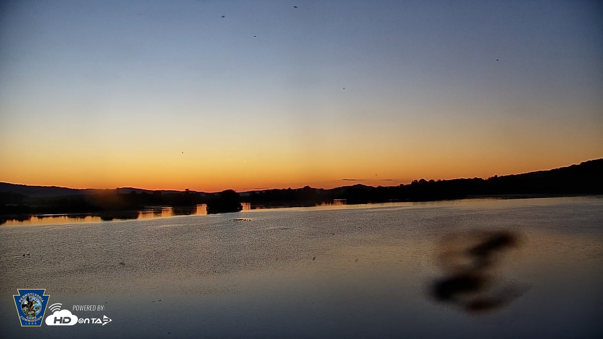 Snapshot of Pennsylvania Snow Geese Live Webcam taken Sep 6, 2026, 6:33am EDT