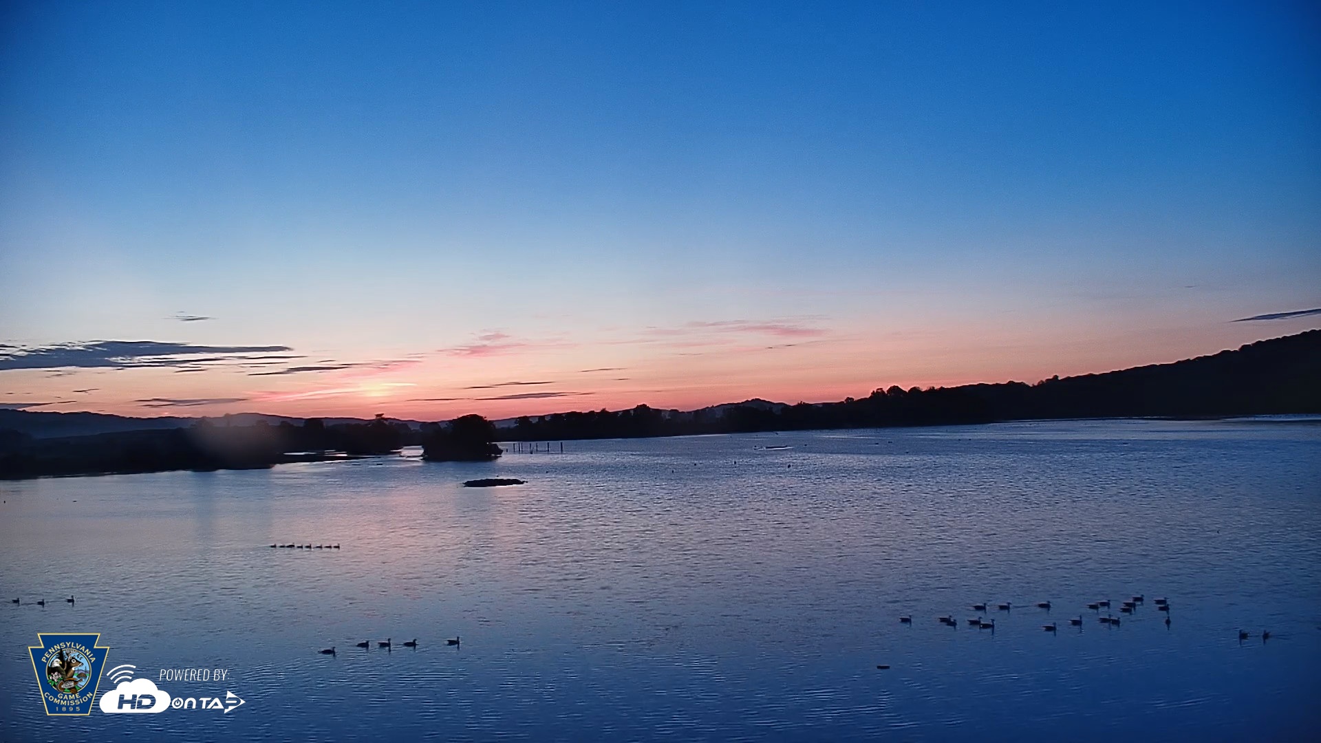 Snapshot of Pennsylvania Snow Geese Live Webcam taken Sep 16, 2026, 6:25am EDT