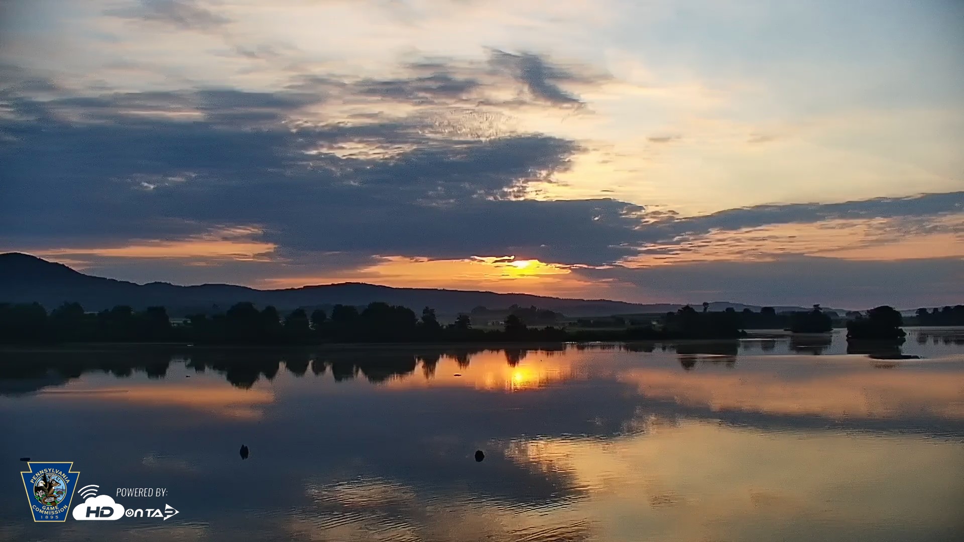 Snapshot of Pennsylvania Snow Geese Live Webcam taken Jul 13, 2026, 6:14am EDT