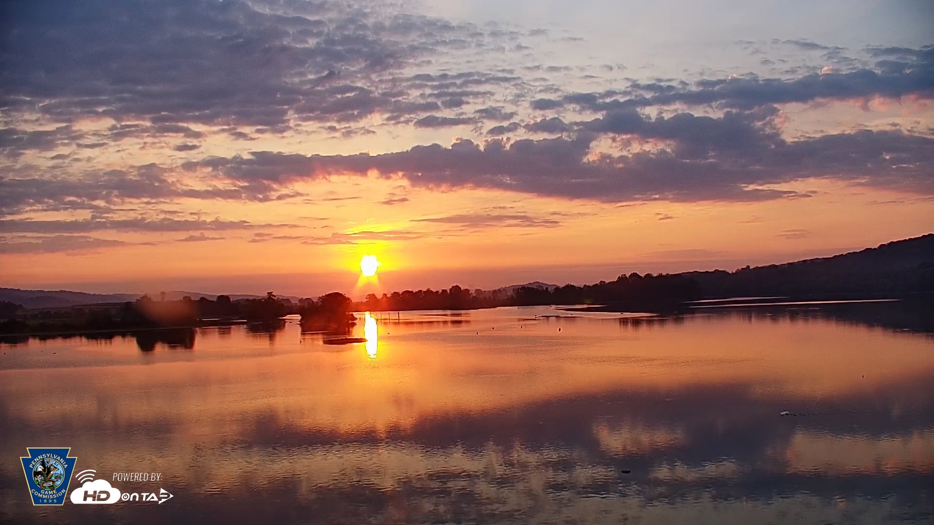 Snapshot of Pennsylvania Snow Geese Live Webcam taken Sep 17, 2026, 7:02am EDT