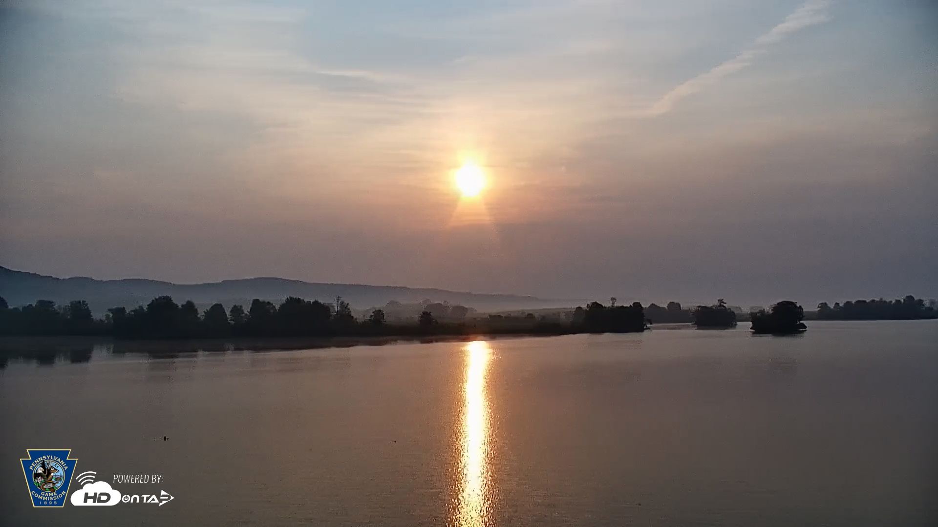 Snapshot of Pennsylvania Snow Geese Live Webcam taken Jun 6, 2025, 6:30am EDT