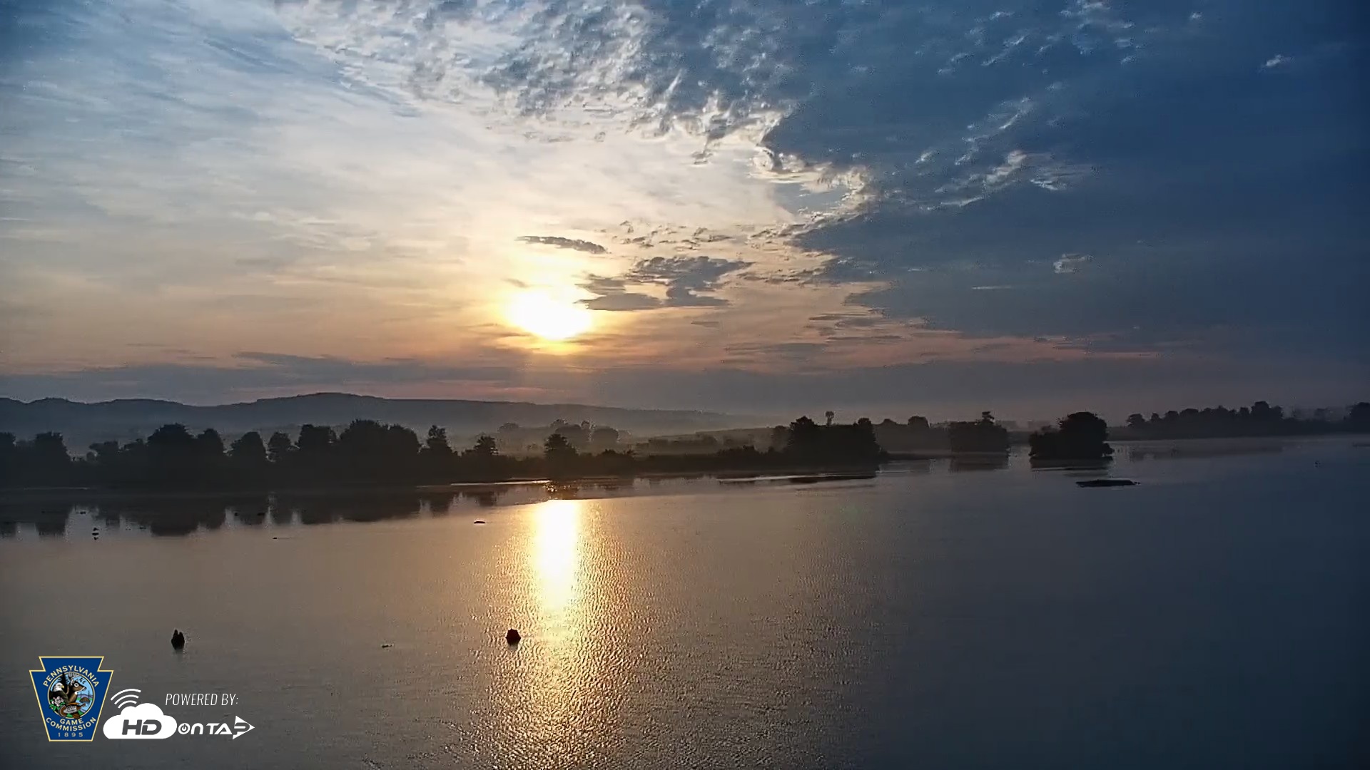 Snapshot of Pennsylvania Snow Geese Live Webcam taken Jul 5, 2026, 6:15am EDT