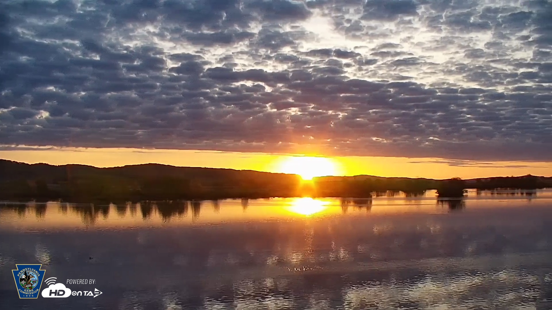 Snapshot of Pennsylvania Snow Geese Live Webcam taken May 1, 2025, 6:15am EDT