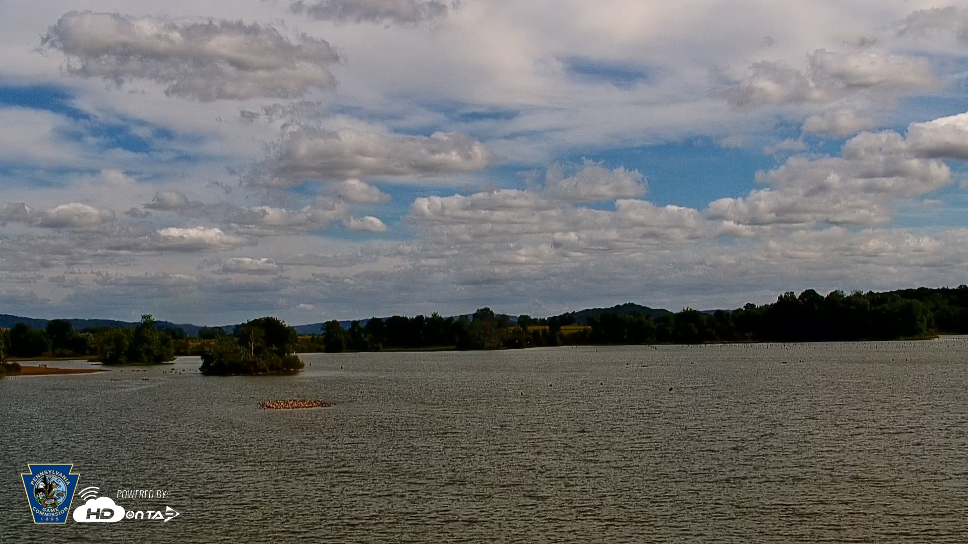 Snapshot of Pennsylvania Snow Geese Live Webcam taken Sep 23, 2026, 1:17pm EDT