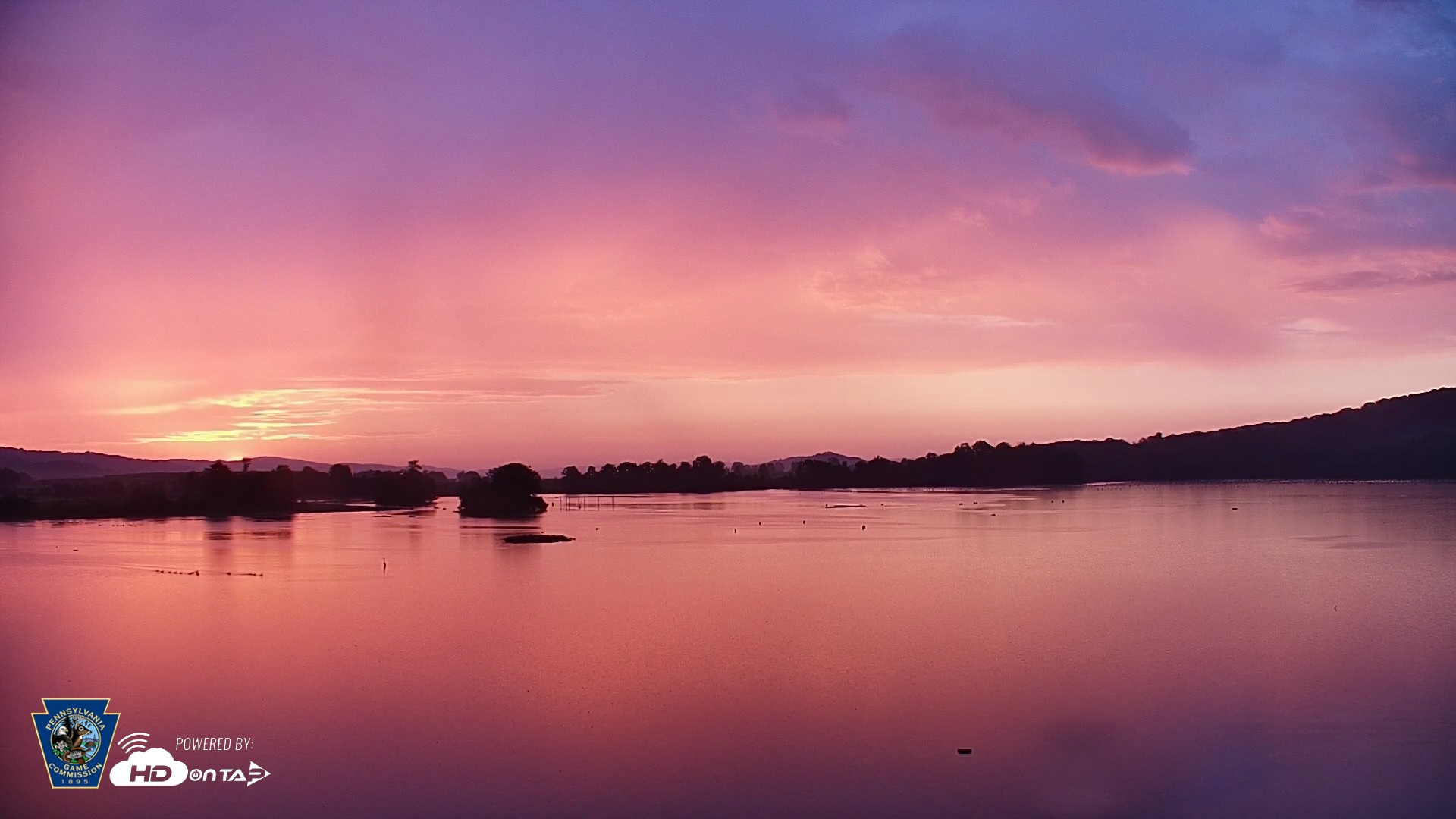 Snapshot of Pennsylvania Snow Geese Live Webcam taken Aug 24, 2026, 6:29am EDT