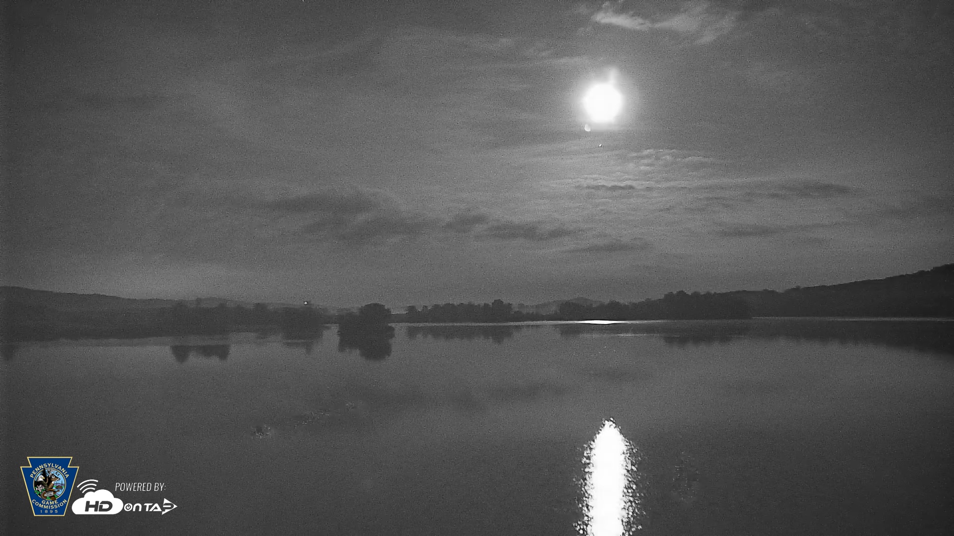 Snapshot of Pennsylvania Snow Geese Live Webcam taken Jul 16, 2025, 12:36am EDT