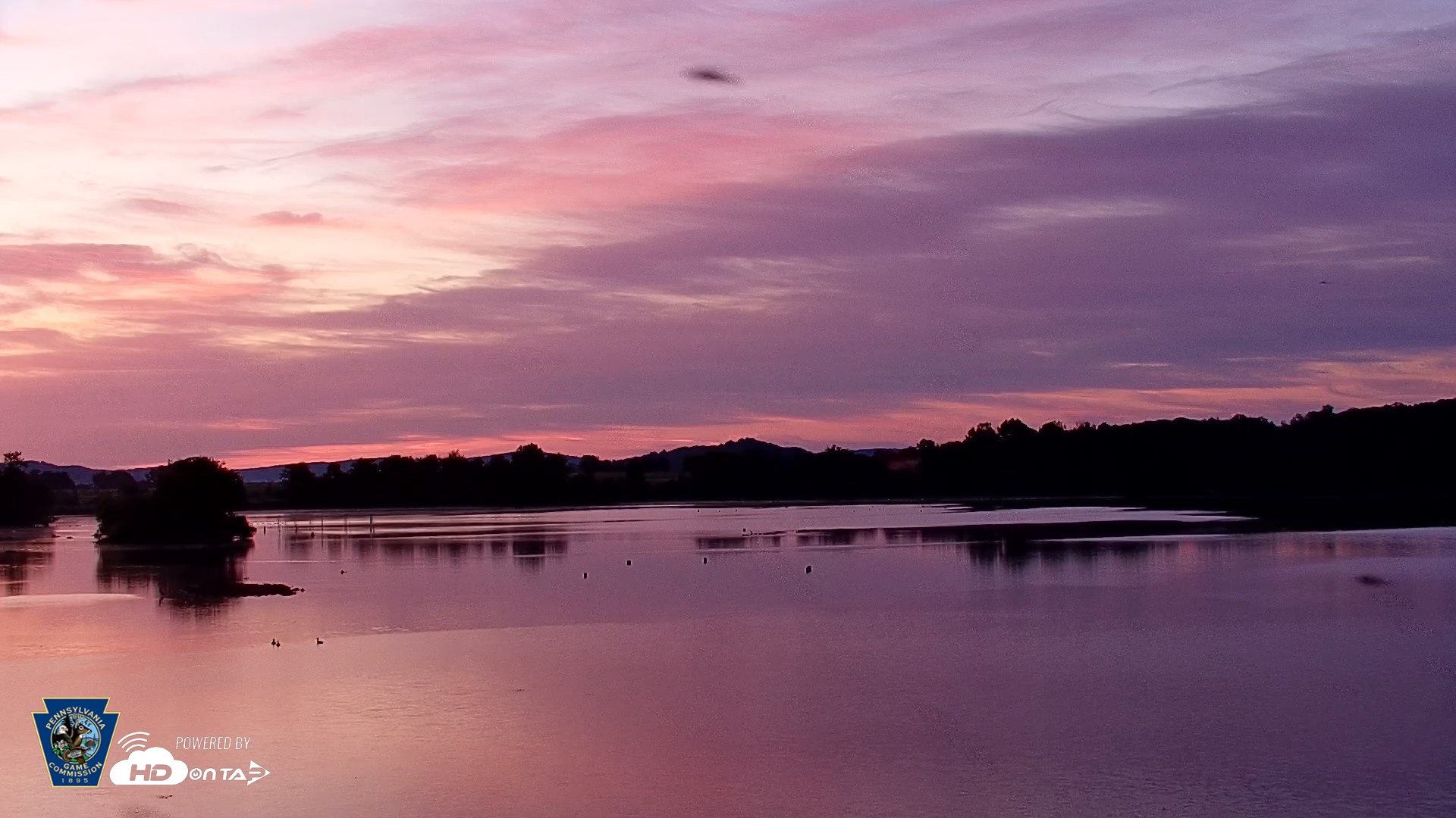 Snapshot of Pennsylvania Snow Geese Live Webcam taken Aug 4, 2026, 5:57am EDT