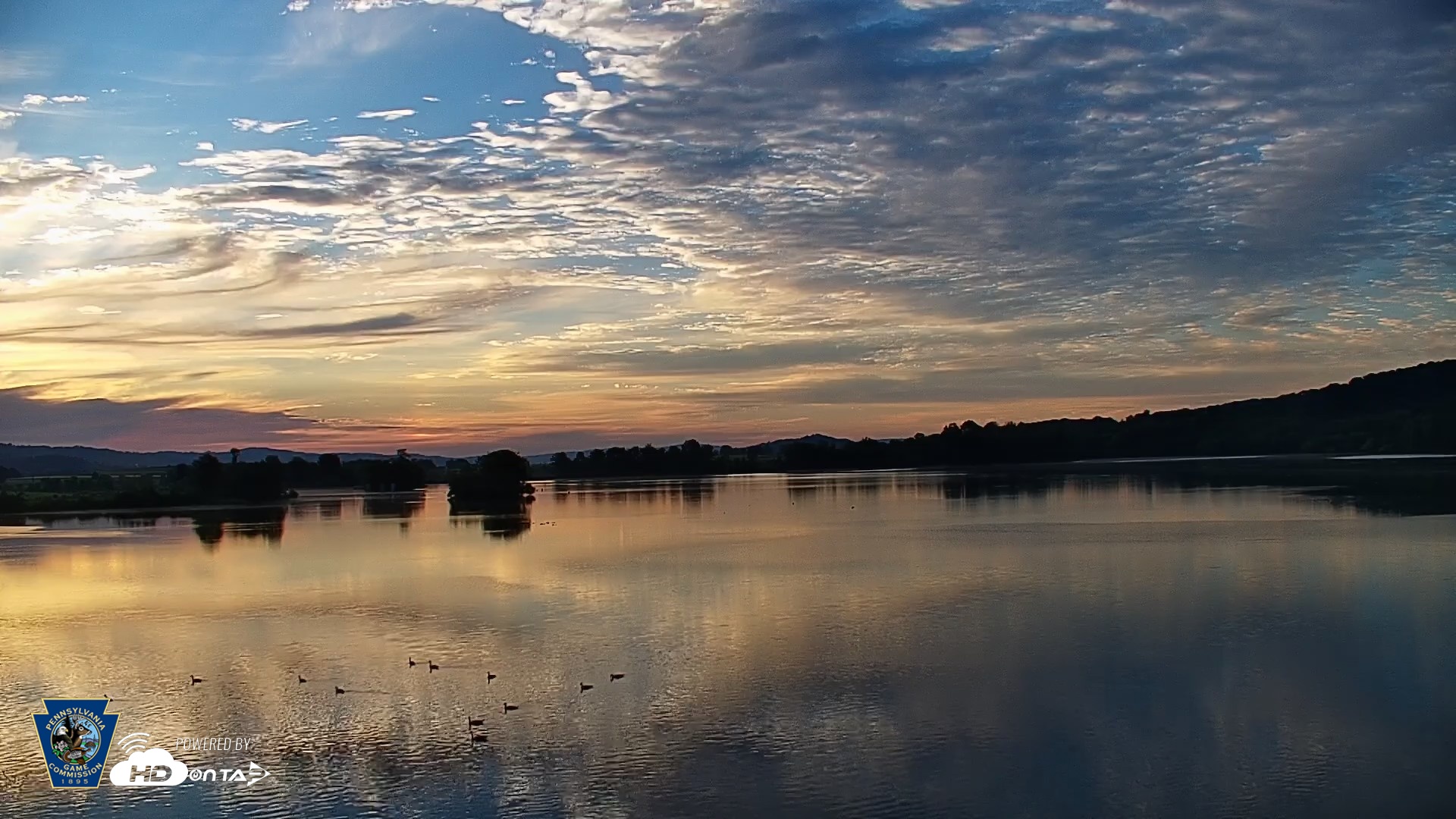Snapshot of Pennsylvania Snow Geese Live Webcam taken Jun 14, 2026, 5:55am EDT