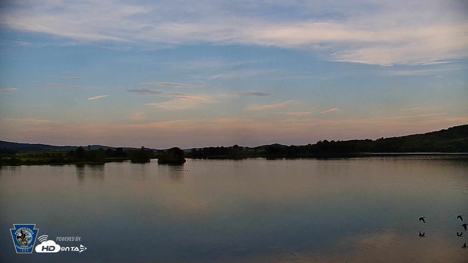 Snapshot of Pennsylvania Snow Geese Live Webcam taken Sep 3, 2026, 6:50pm EDT