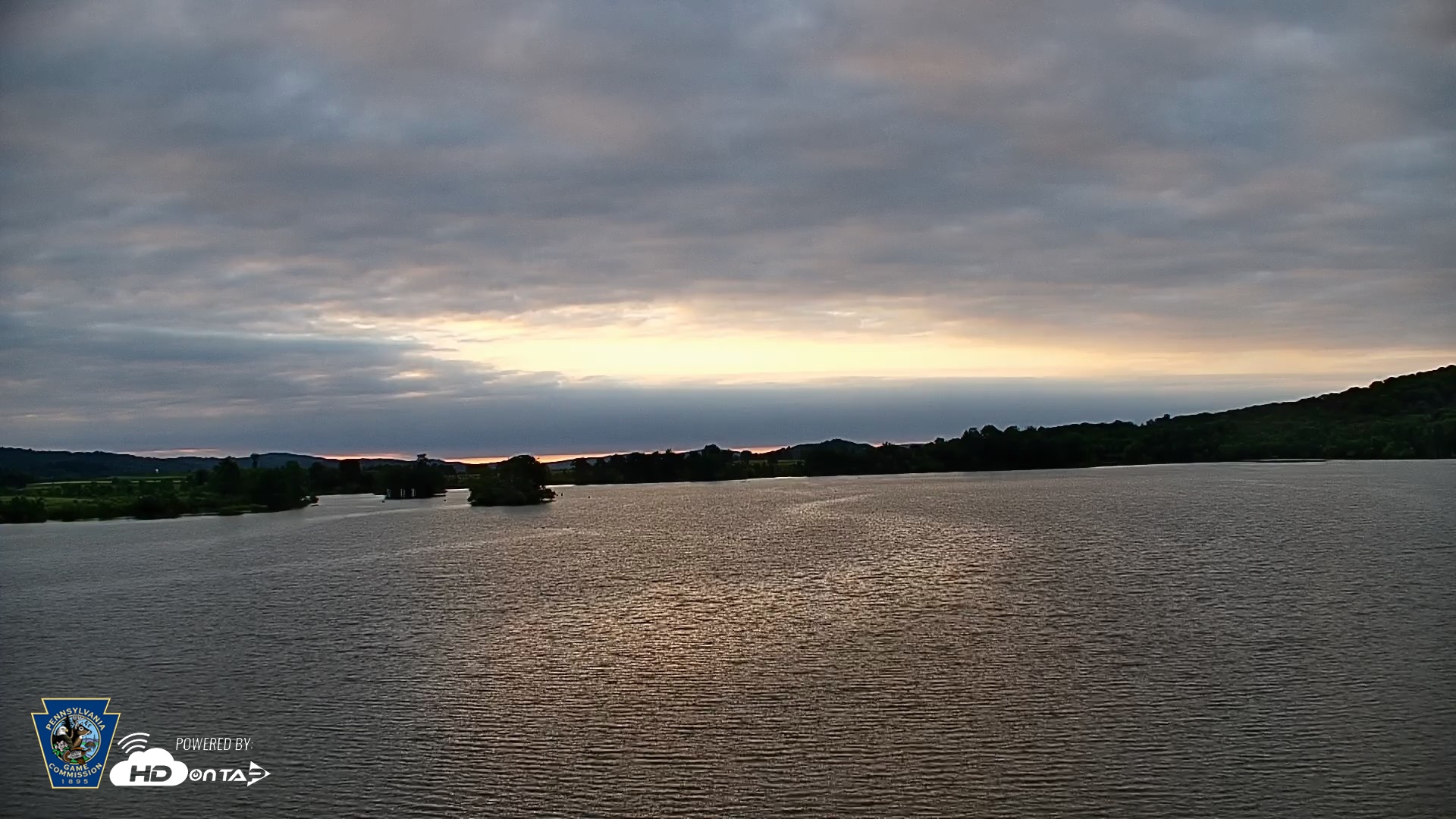 Snapshot of Pennsylvania Snow Geese Live Webcam taken Jun 9, 2026, 5:59am EDT