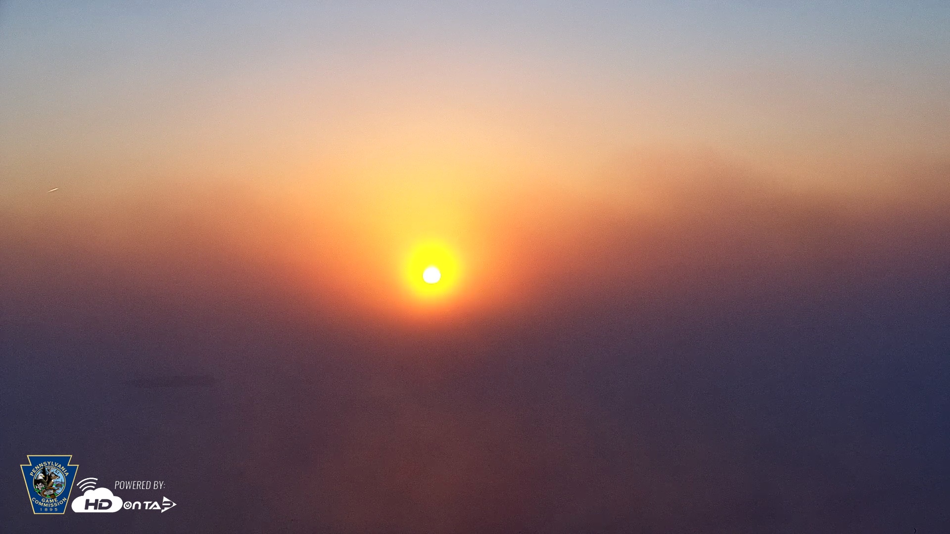 Snapshot of Pennsylvania Snow Geese Live Webcam taken Oct 4, 2025, 7:12am EDT