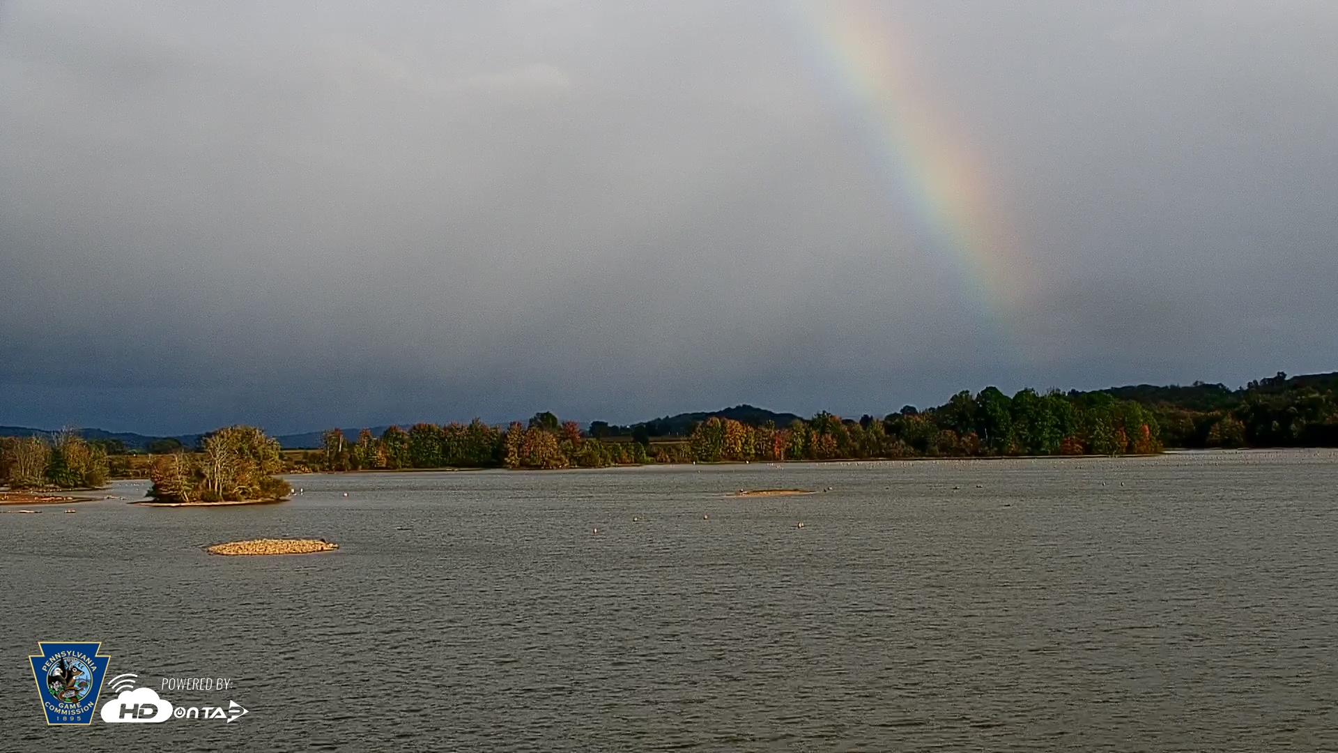 Snapshot of Pennsylvania Snow Geese Live Webcam taken Oct 12, 2025, 5:13pm EDT
