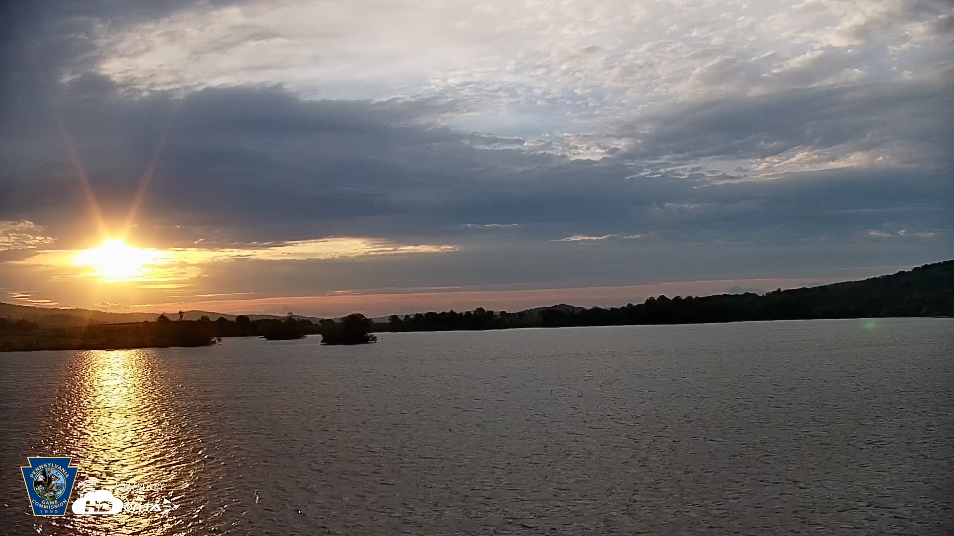 Snapshot of Pennsylvania Snow Geese Live Webcam taken May 6, 2026, 6:27am EDT