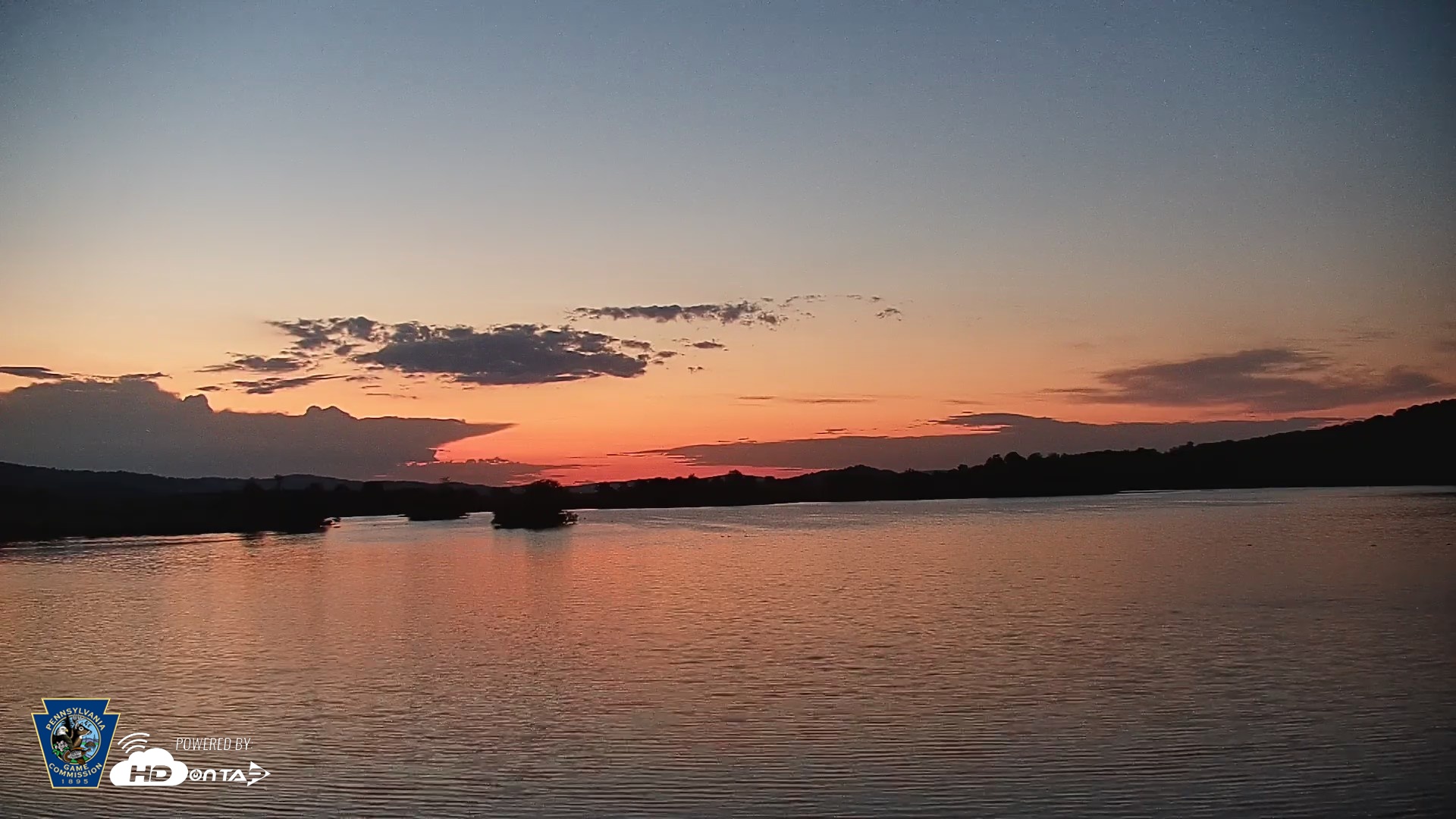 Snapshot of Pennsylvania Snow Geese Live Webcam taken May 5, 2026, 5:27am EDT