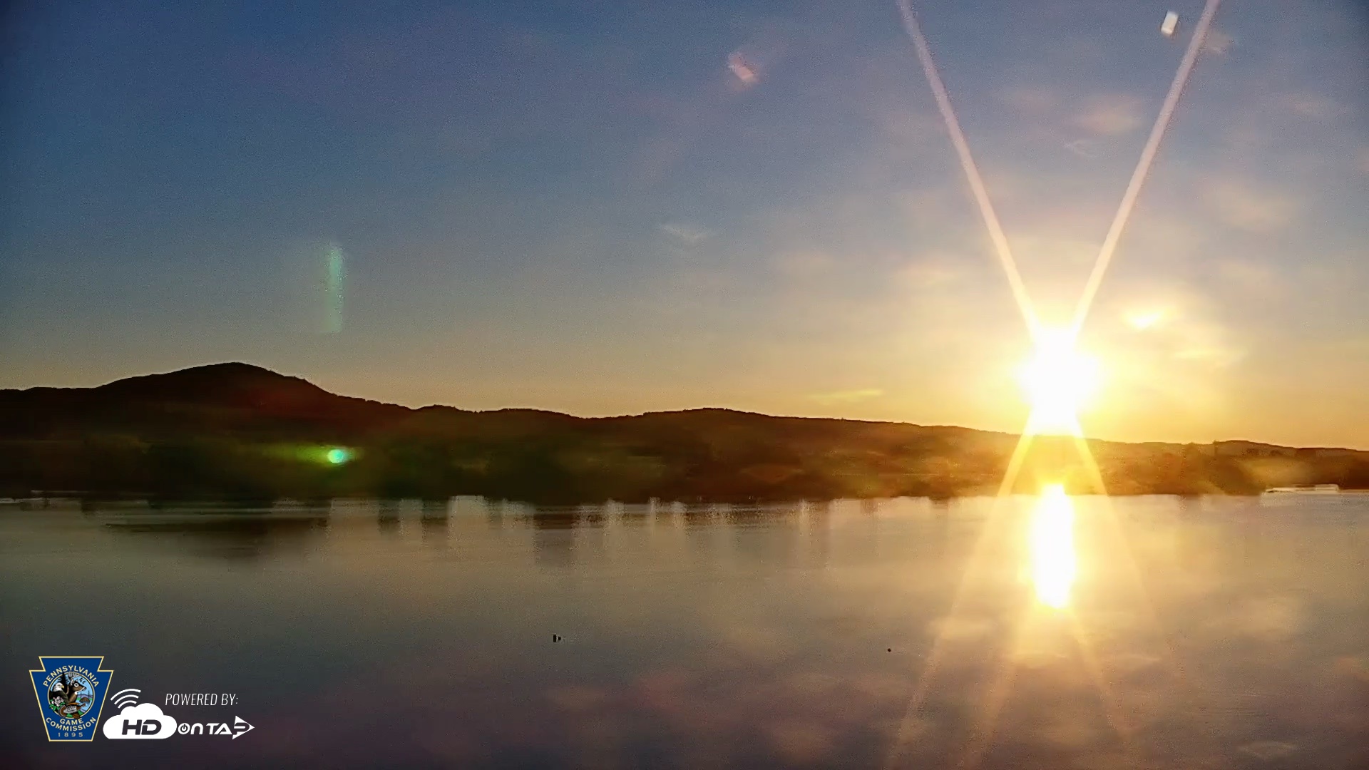 Snapshot of Pennsylvania Snow Geese Live Webcam taken May 12, 2026, 6:17am EDT