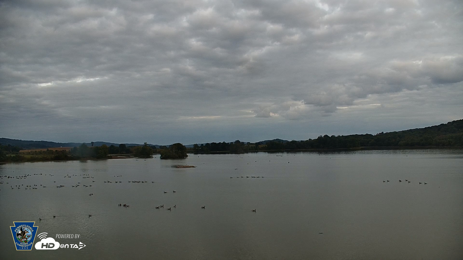 Snapshot of Pennsylvania Snow Geese Live Webcam taken Sep 30, 2026, 6:39pm EDT