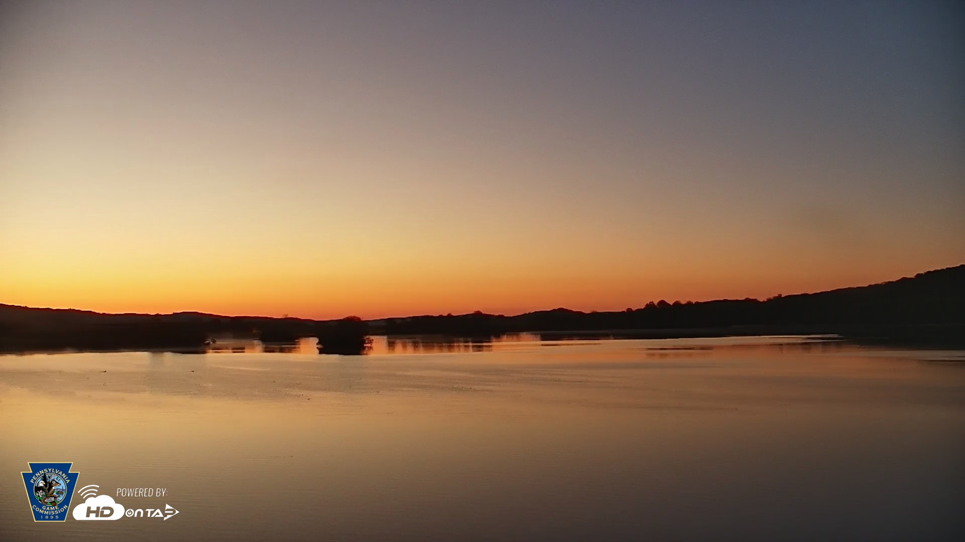 Snapshot of Pennsylvania Snow Geese Live Webcam taken May 1, 2026, 5:49am EDT