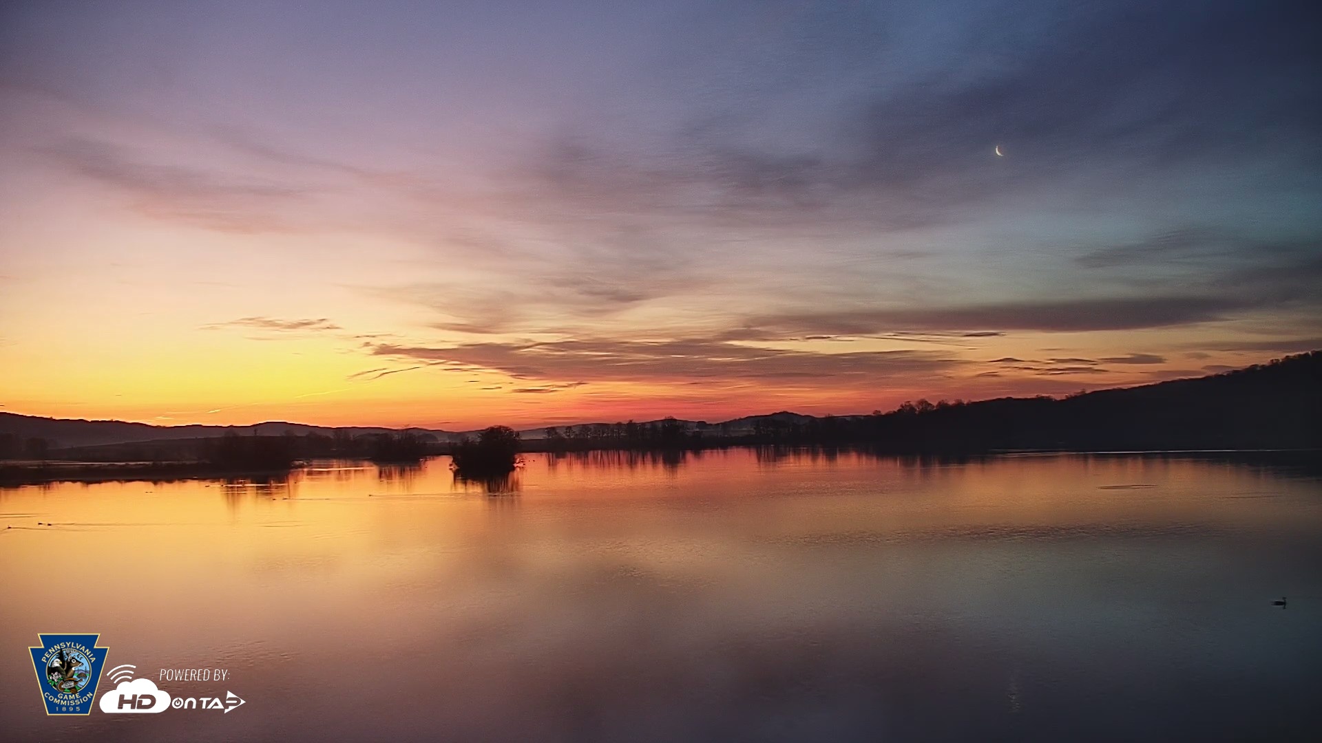 Snapshot of Pennsylvania Snow Geese Live Webcam taken Apr 14, 2026, 6:04am EDT