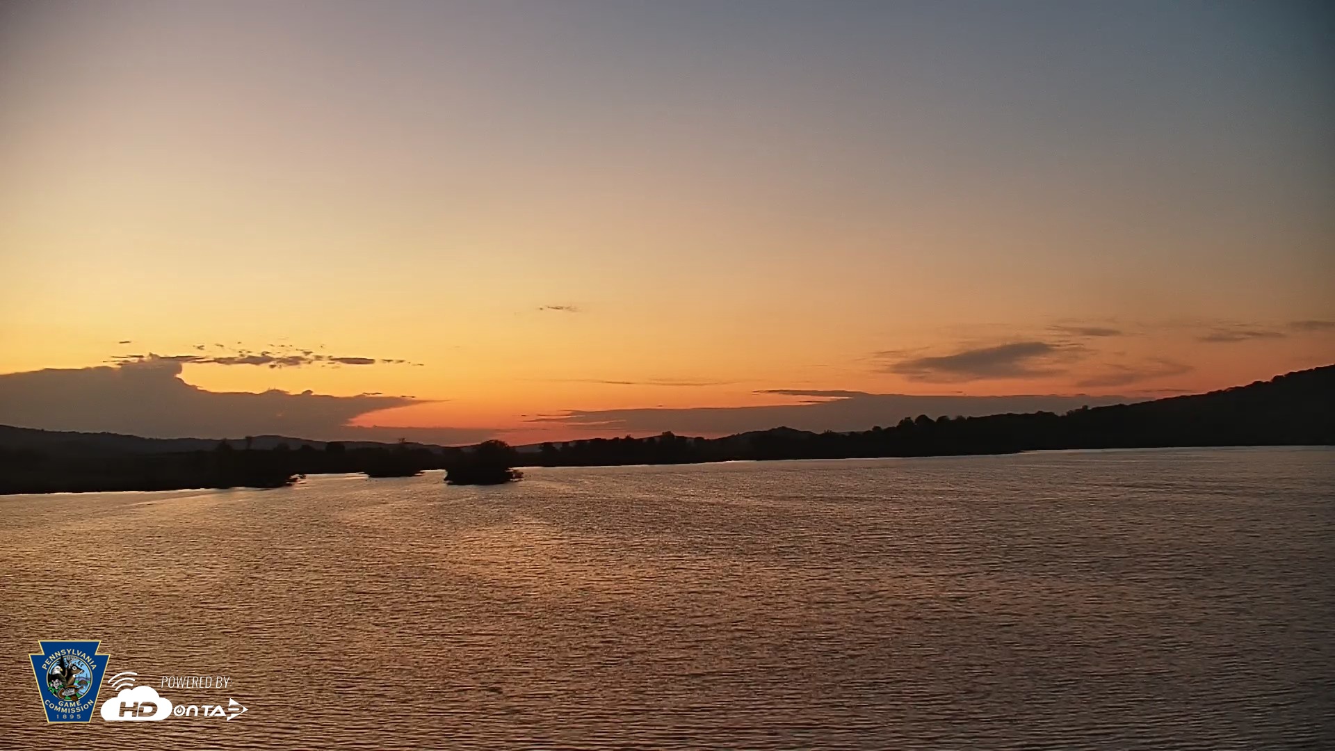 Snapshot of Pennsylvania Snow Geese Live Webcam taken May 5, 2026, 5:39am EDT