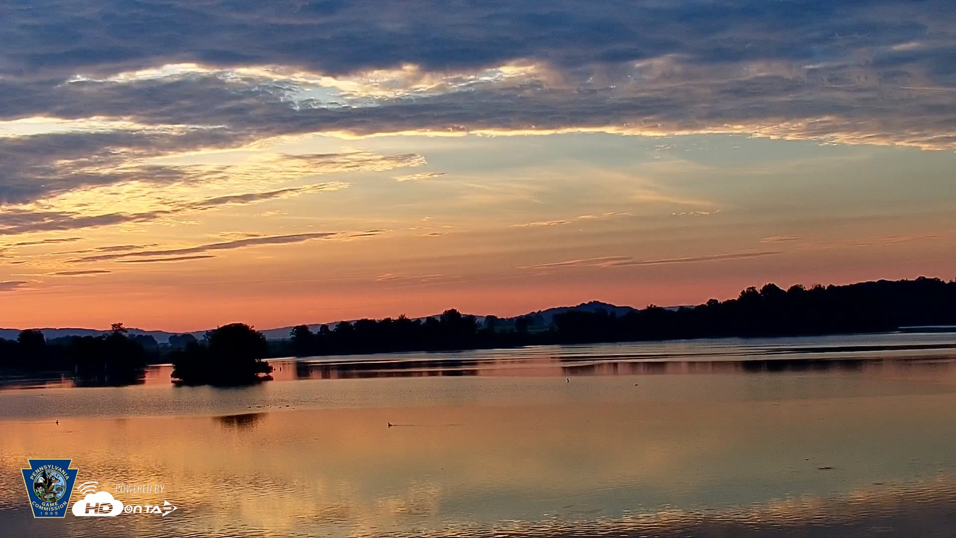 Snapshot of Pennsylvania Snow Geese Live Webcam taken Jun 6, 2026, 5:52am EDT