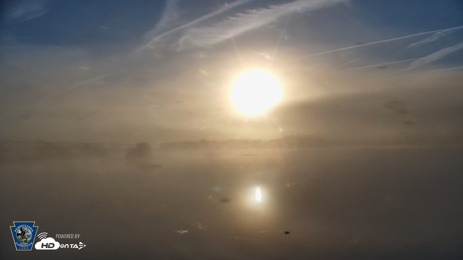 Snapshot of Pennsylvania Snow Geese Live Webcam taken Oct 3, 2025, 7:41am EDT