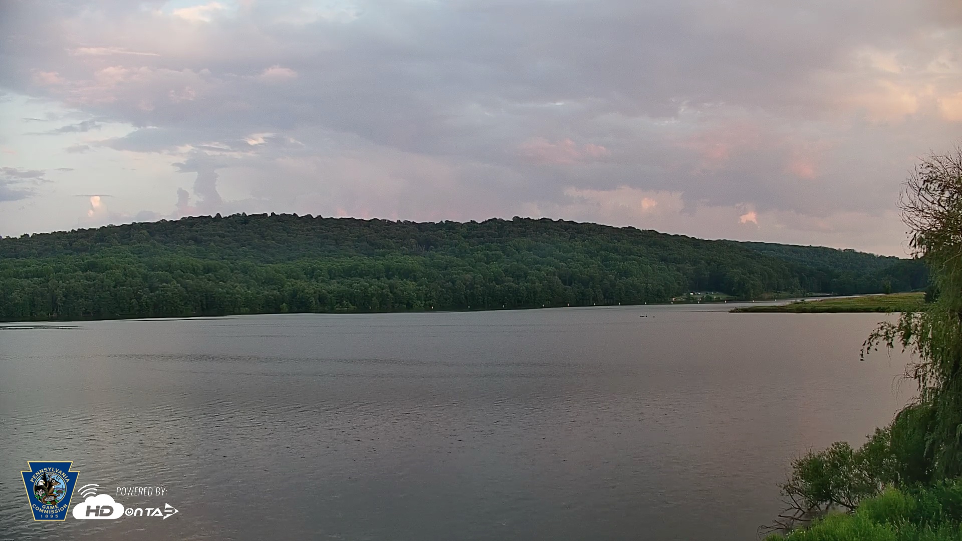 Snapshot of Pennsylvania Snow Geese Live Webcam taken Jul 3, 2025, 8:28pm EDT
