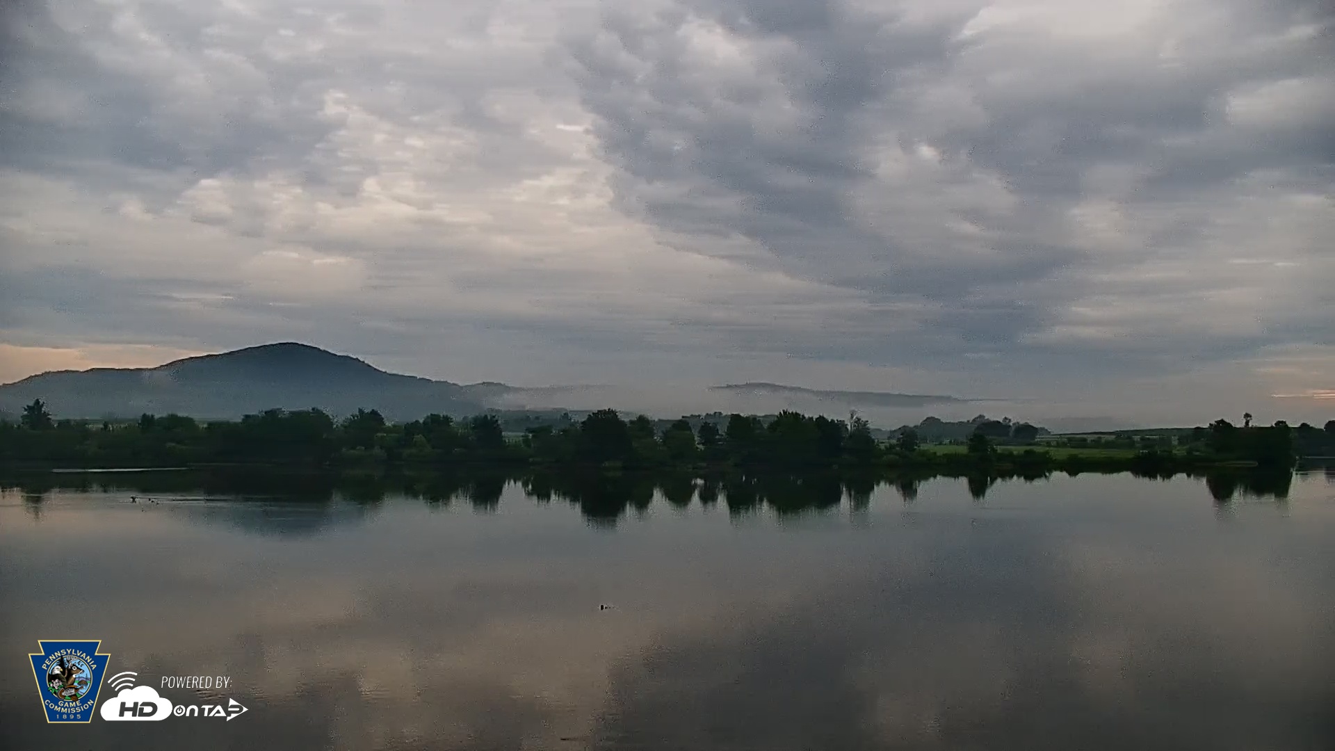 Snapshot of Pennsylvania Snow Geese Live Webcam taken Jul 10, 2025, 7:22am EDT