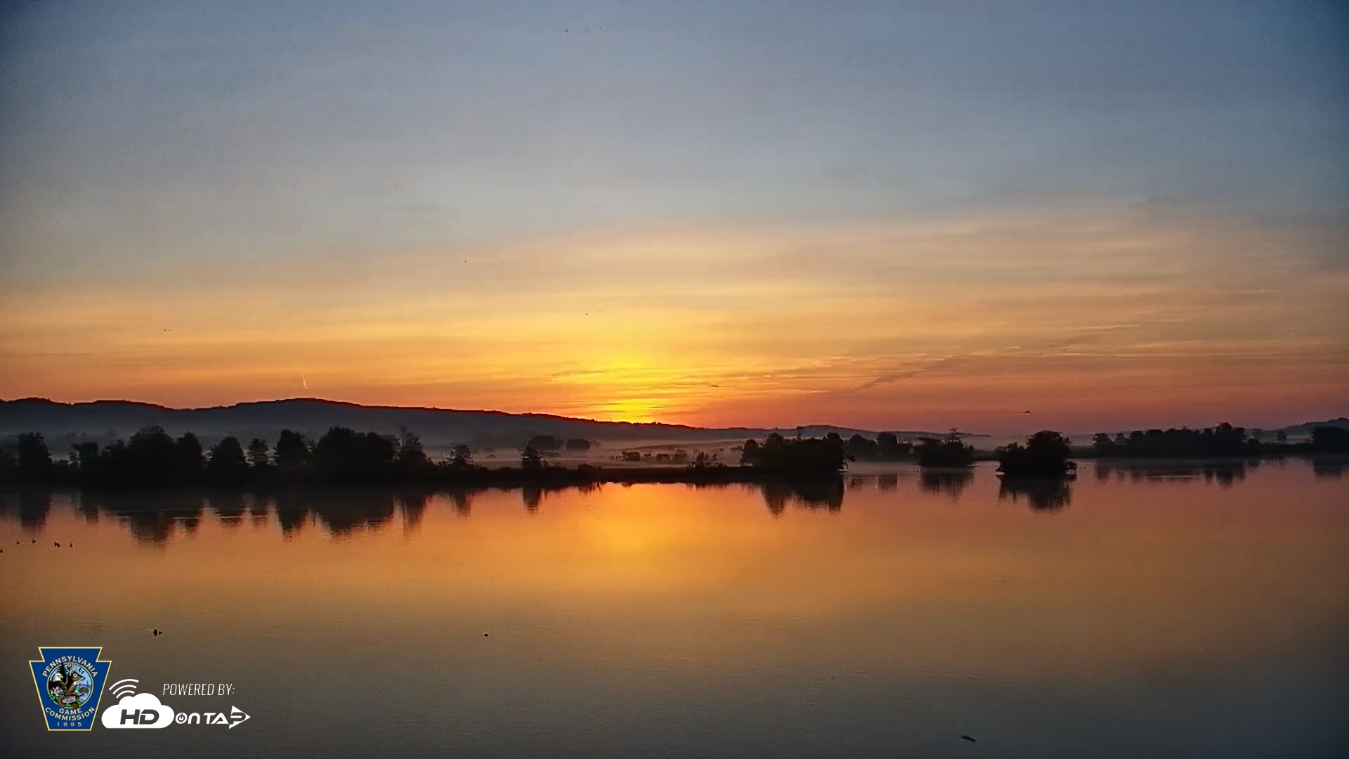 Snapshot of Pennsylvania Snow Geese Live Webcam taken May 3, 2025, 6:04am EDT