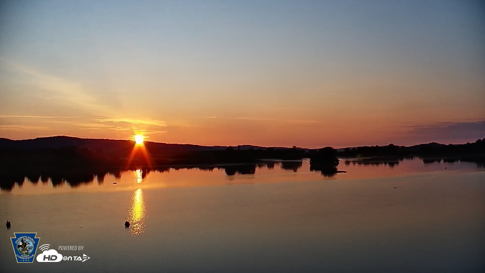 Snapshot of Pennsylvania Snow Geese Live Webcam taken Jul 20, 2026, 6:06am EDT