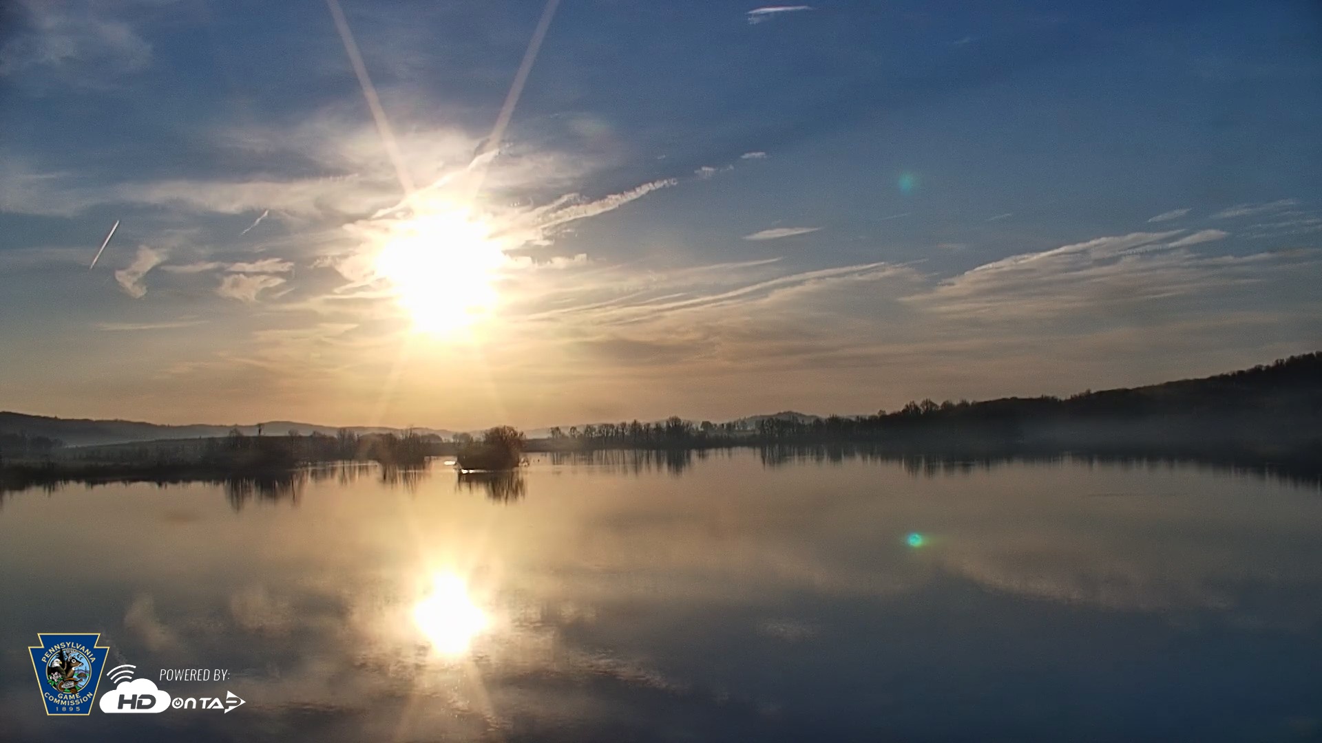 Snapshot of Pennsylvania Snow Geese Live Webcam taken Apr 14, 2026, 7:13am EDT