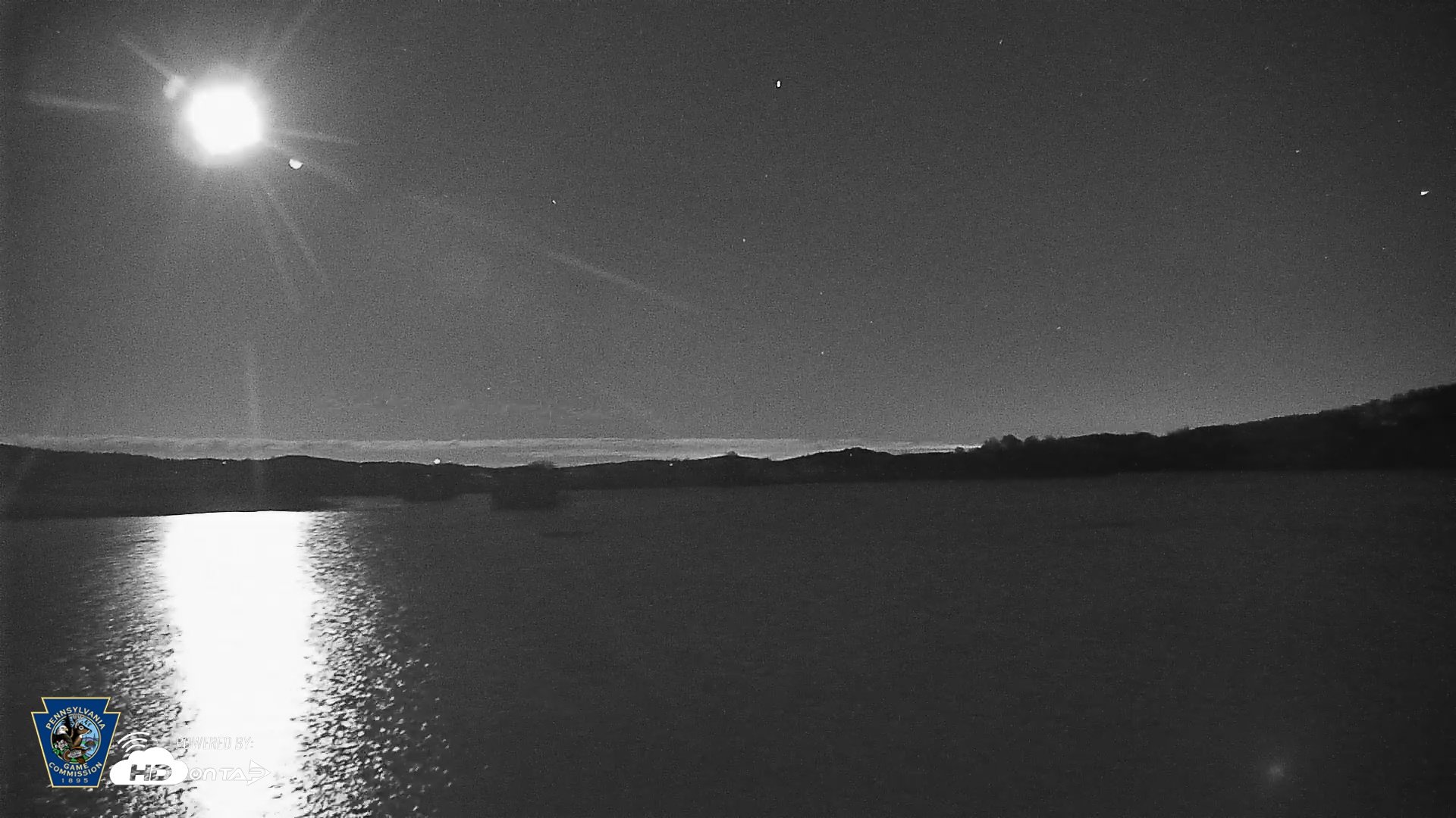 Snapshot of Pennsylvania Snow Geese Live Webcam taken Nov 10, 2025, 11:27pm EST