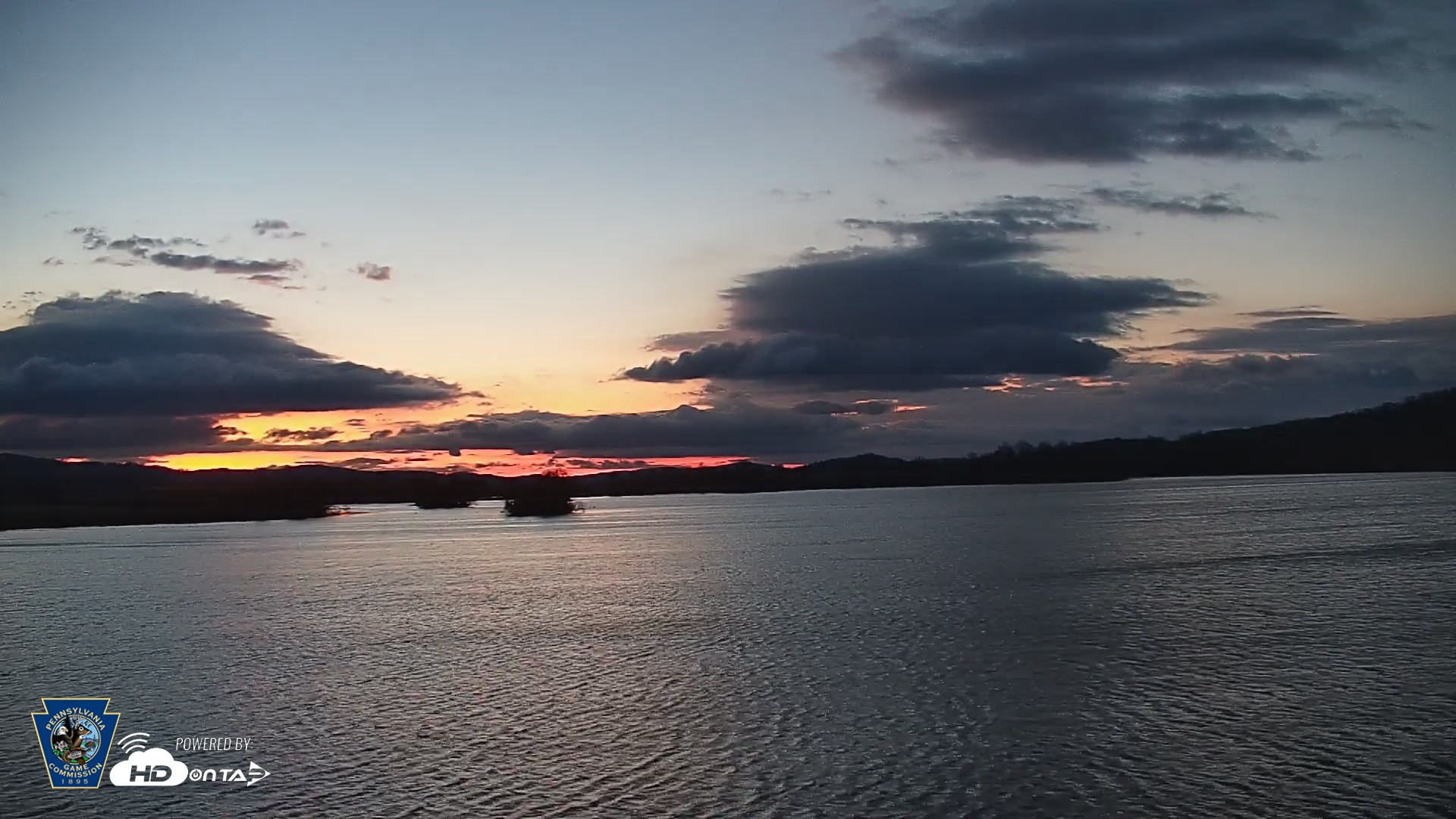 Snapshot of Pennsylvania Snow Geese Live Webcam taken Apr 11, 2026, 6:03am EDT