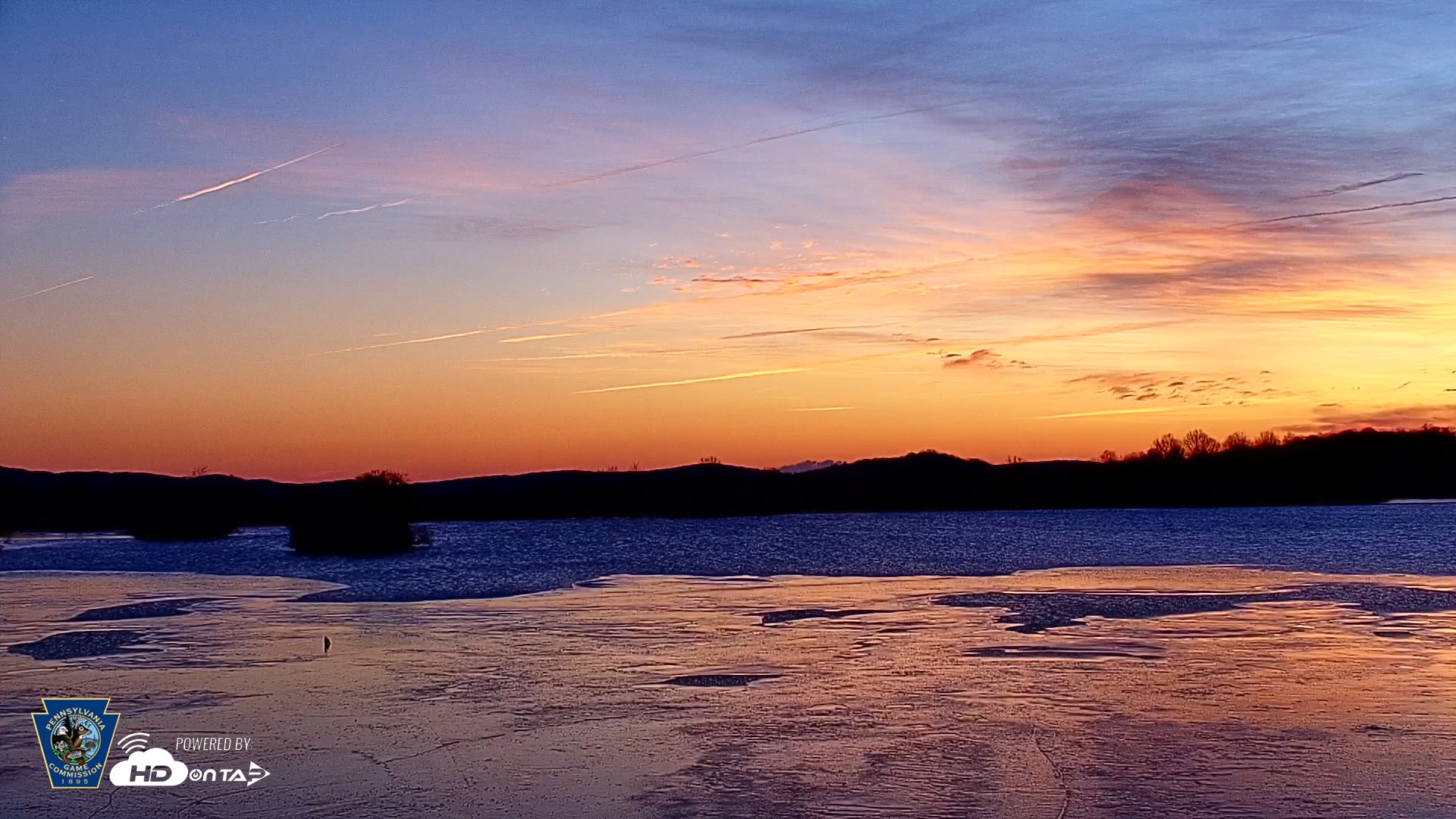 Snapshot of Pennsylvania Snow Geese Live Webcam taken Dec 20, 2025, 7:16am EST