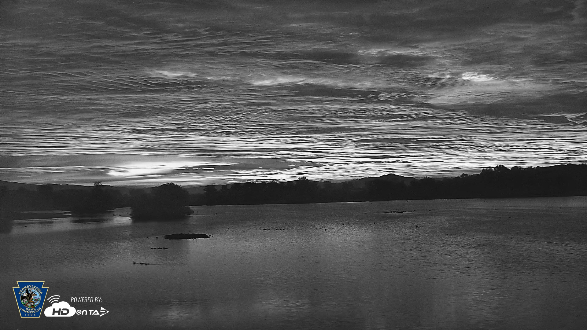 Snapshot of Pennsylvania Snow Geese Live Webcam taken Oct 1, 2026, 6:30am EDT