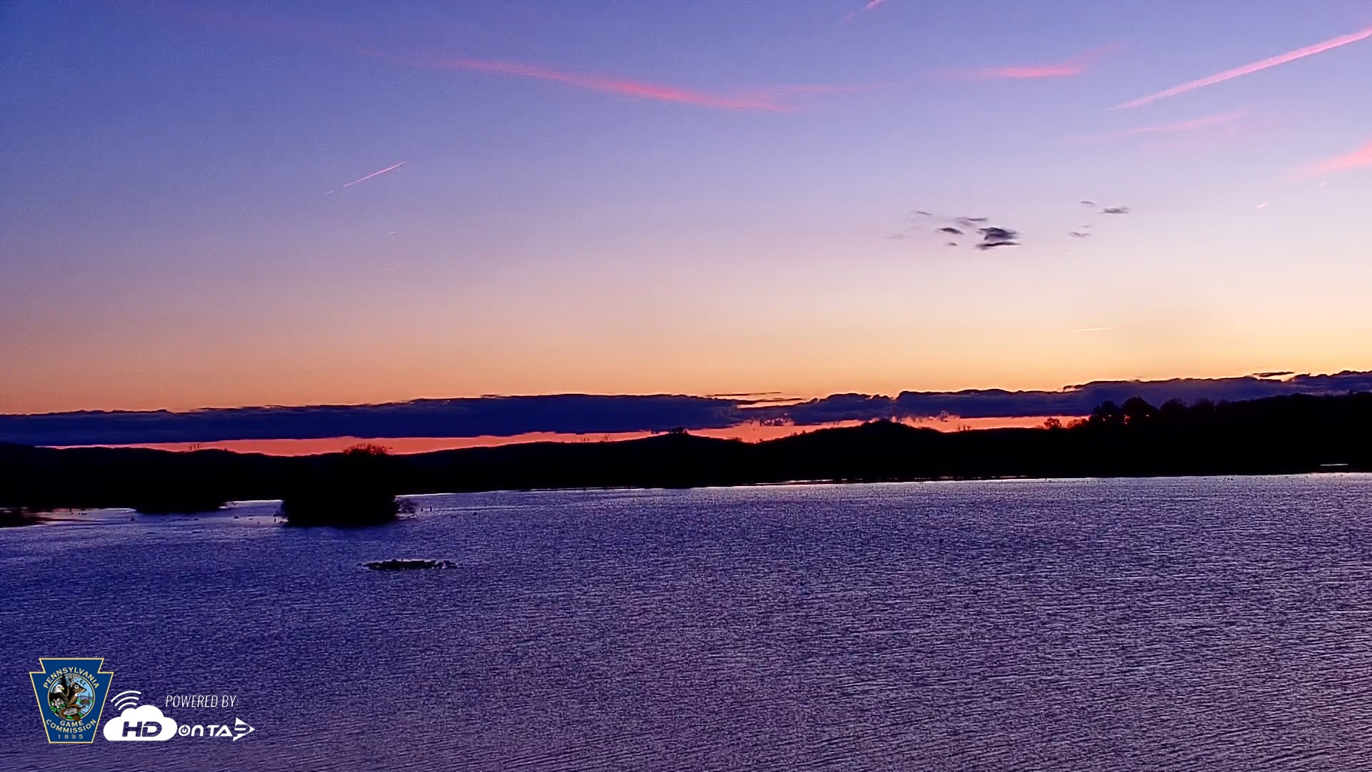 Snapshot of Pennsylvania Snow Geese Live Webcam taken Nov 14, 2025, 6:35am EST