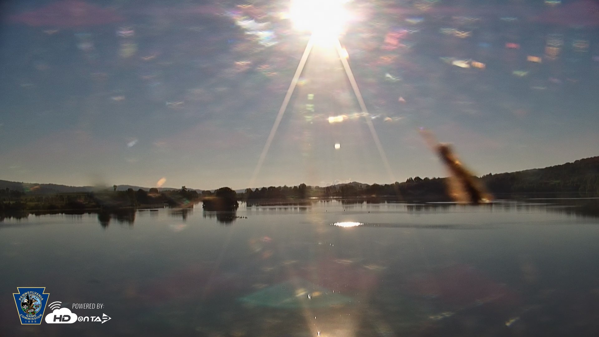 Snapshot of Pennsylvania Snow Geese Live Webcam taken Sep 6, 2026, 8:14am EDT