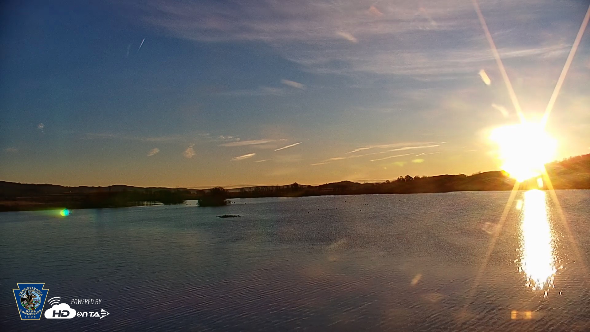 Snapshot of Pennsylvania Snow Geese Live Webcam taken Nov 14, 2025, 7:15am EST