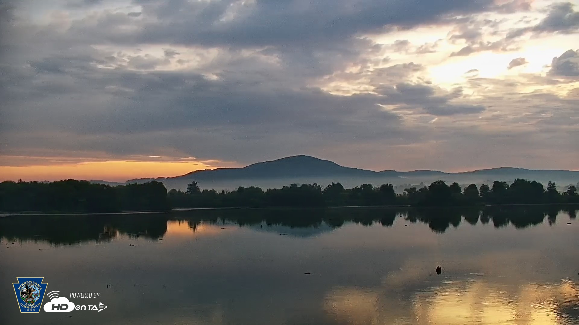 Snapshot of Pennsylvania Snow Geese Live Webcam taken Jun 26, 2026, 5:51am EDT