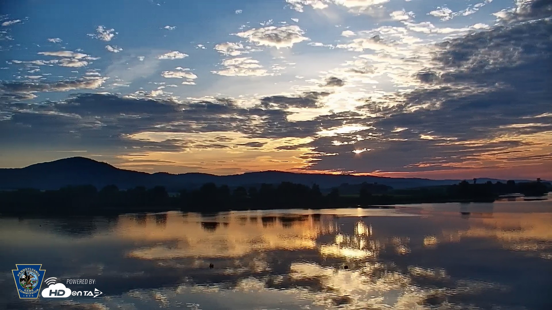Snapshot of Pennsylvania Snow Geese Live Webcam taken Jun 6, 2026, 6:03am EDT