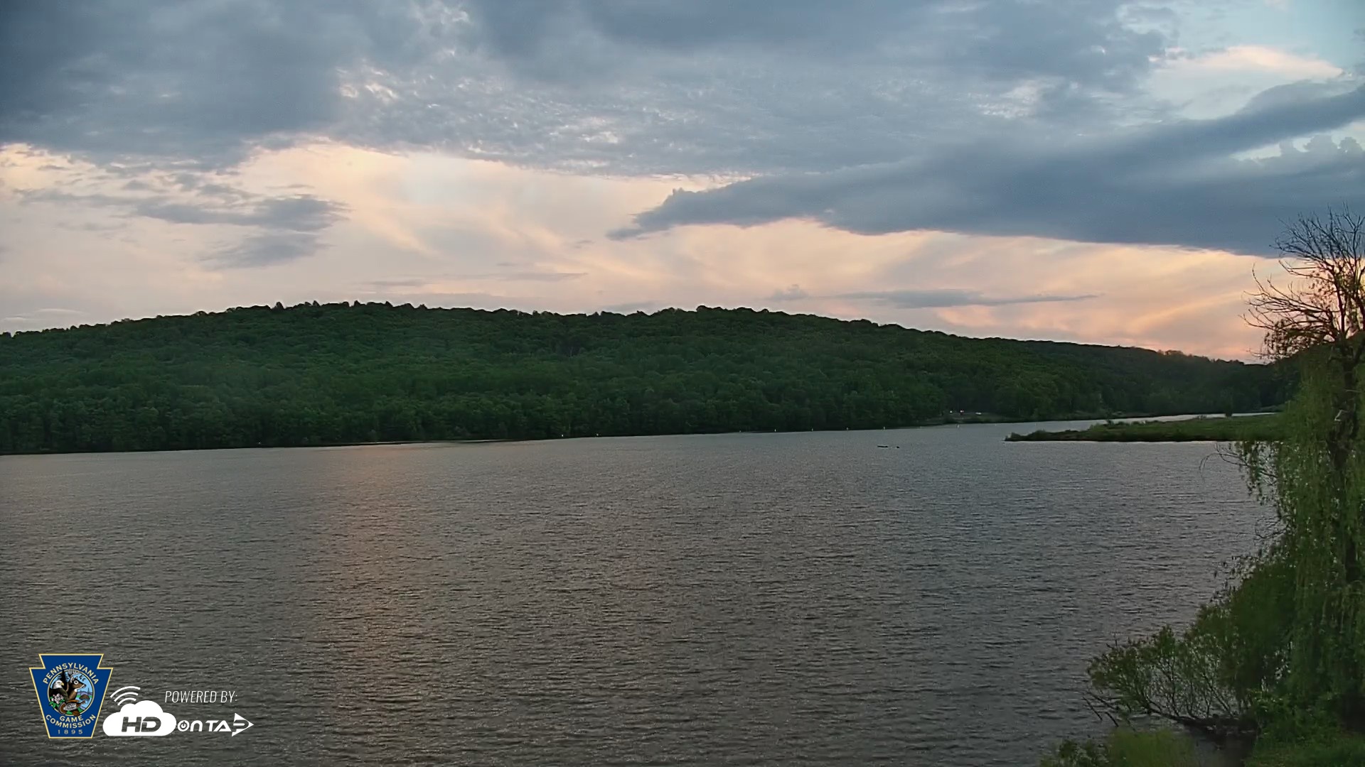 Snapshot of Pennsylvania Snow Geese Live Webcam taken May 13, 2026, 7:58pm EDT