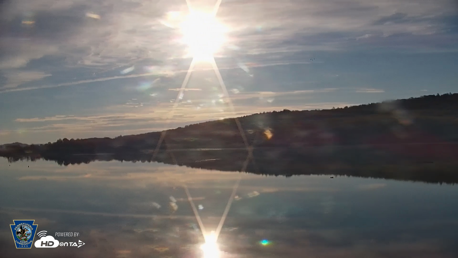 Snapshot of Pennsylvania Snow Geese Live Webcam taken Nov 2, 2025, 7:59am EST