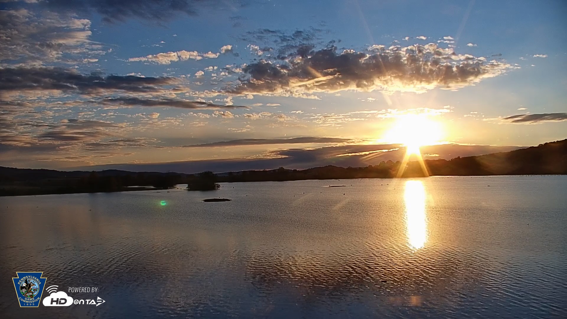 Snapshot of Pennsylvania Snow Geese Live Webcam taken Oct 23, 2025, 7:45am EDT