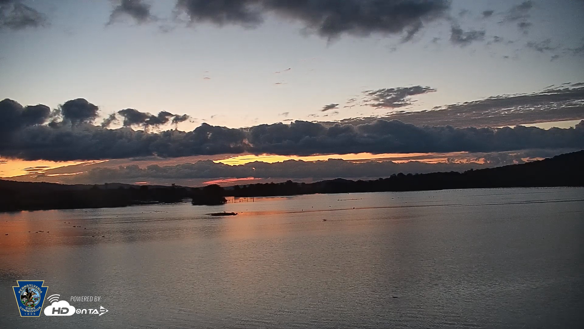 Snapshot of Pennsylvania Snow Geese Live Webcam taken Sep 14, 2026, 6:14am EDT