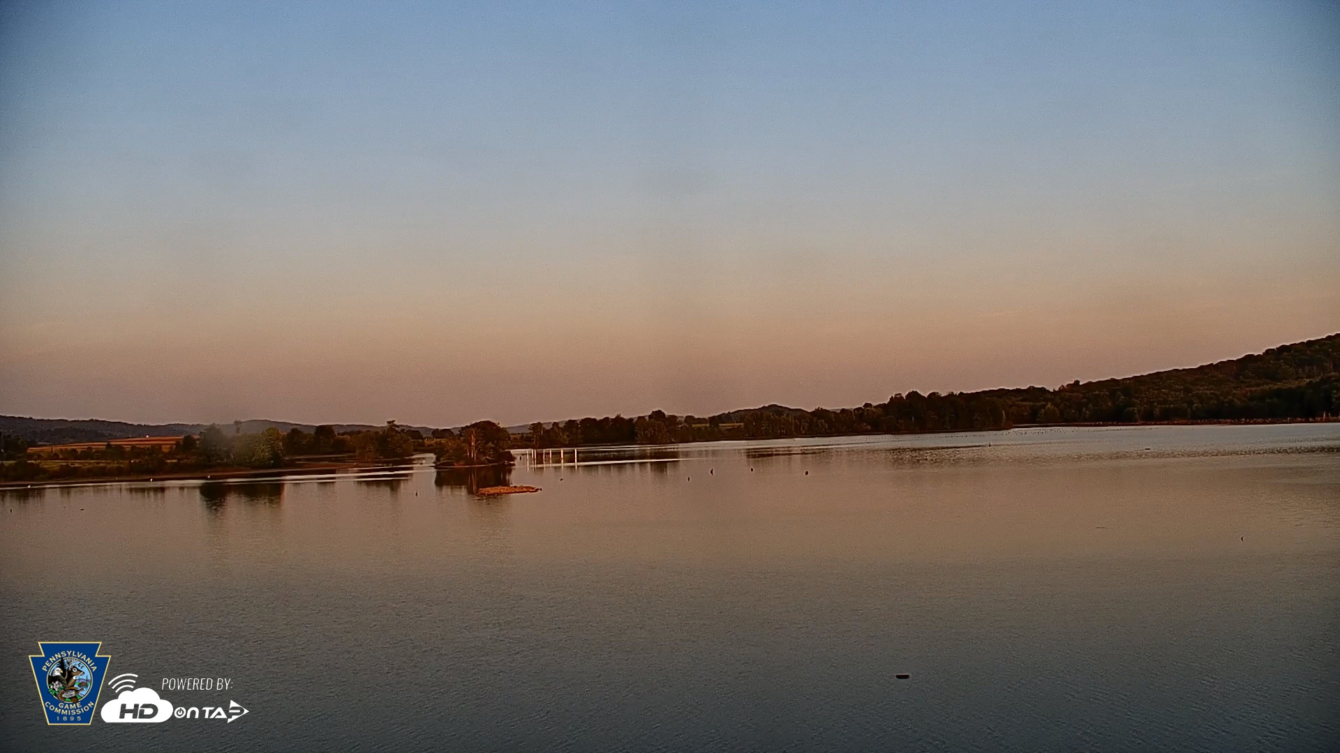 Snapshot of Pennsylvania Snow Geese Live Webcam taken Sep 16, 2026, 6:37pm EDT
