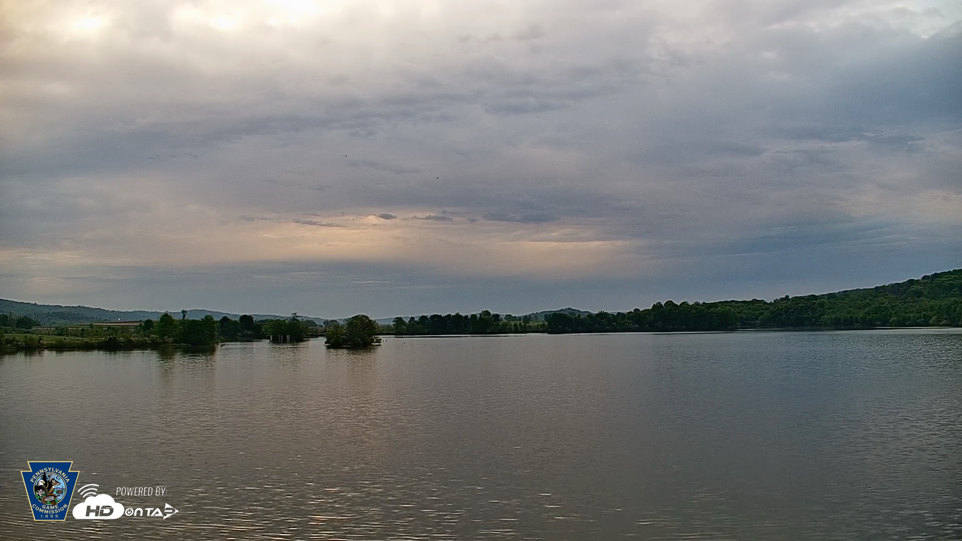 Snapshot of Pennsylvania Snow Geese Live Webcam taken May 9, 2026, 6:37am EDT